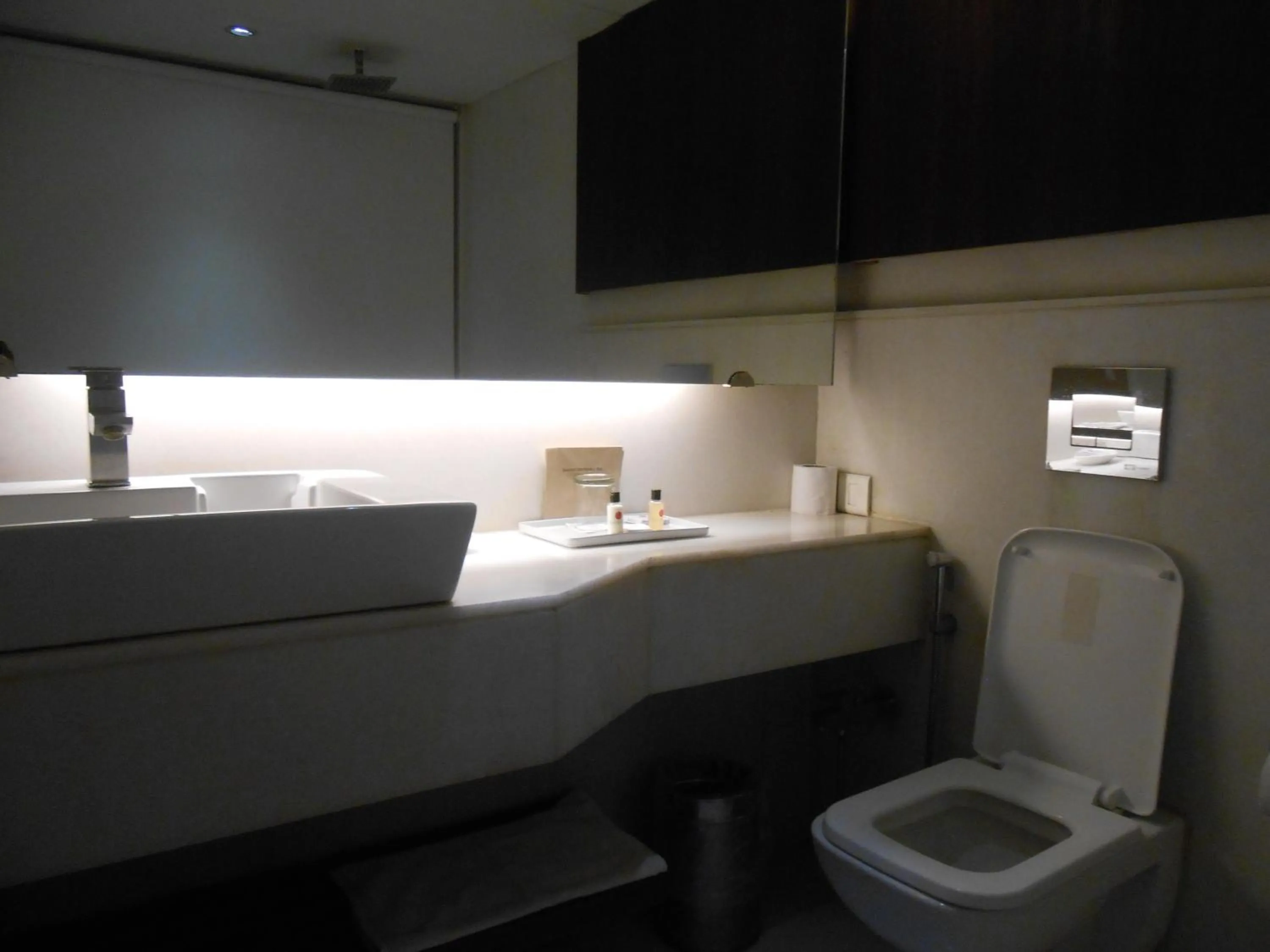 Bathroom in Siamton Inn- A Cygnett Collection