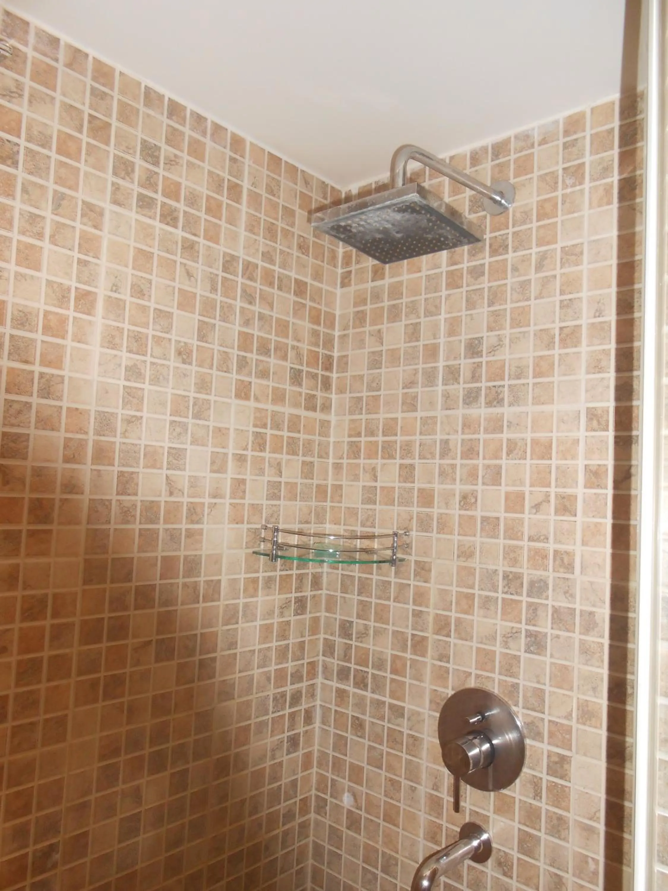 Shower in Siamton Inn- A Cygnett Collection