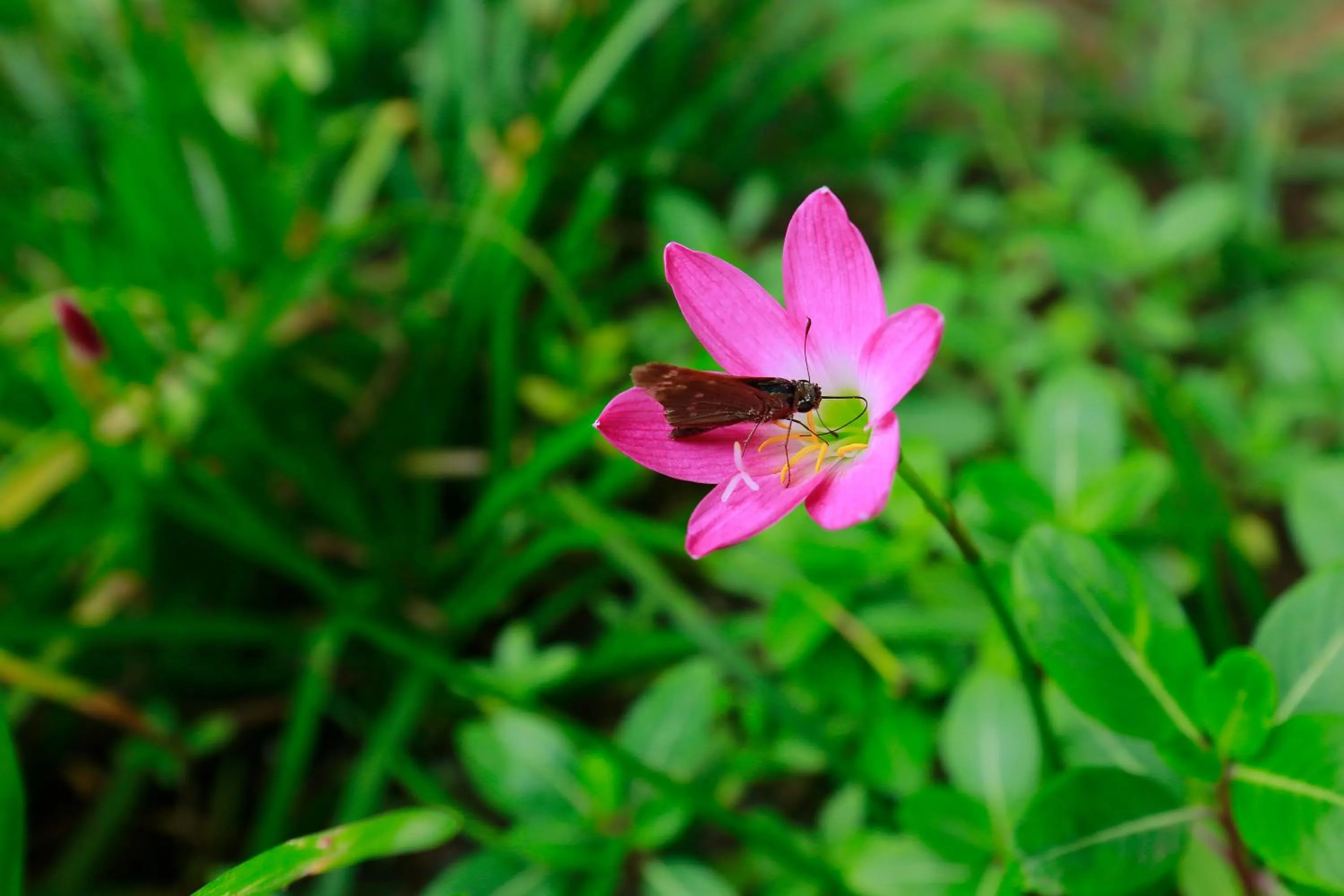 Decorative detail in Renai Blue Waters Cherai