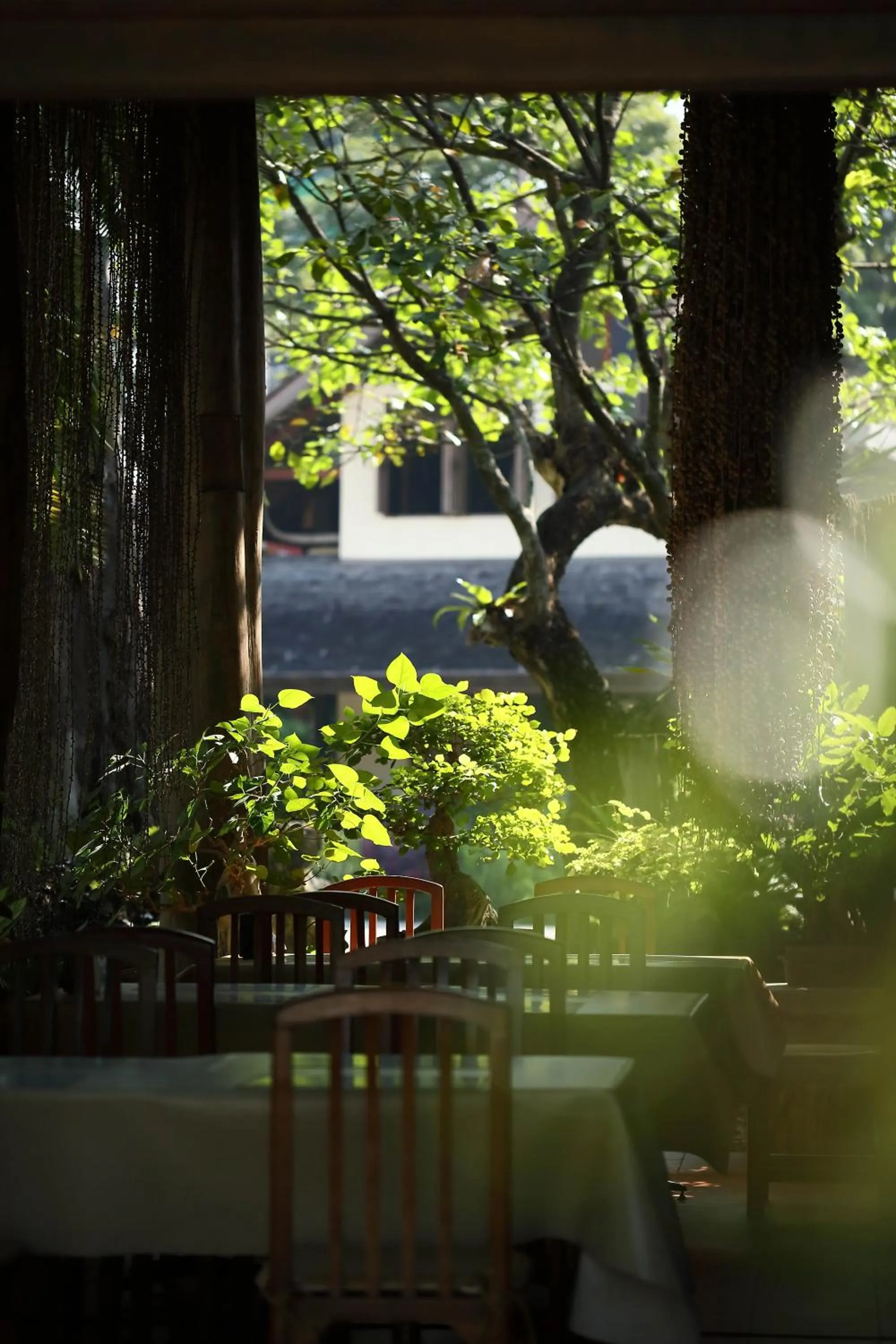 Restaurant/places to eat in VC@Suanpaak Boutique Hotel & Service Apartment