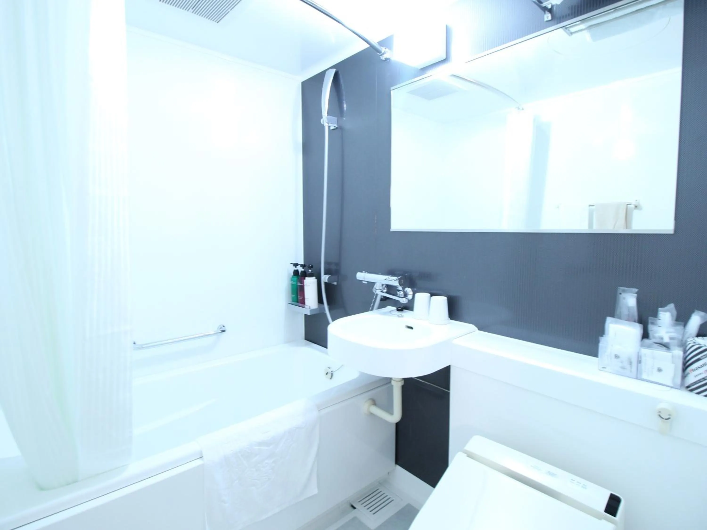 Bathroom in APA Hotel Hikoneminami