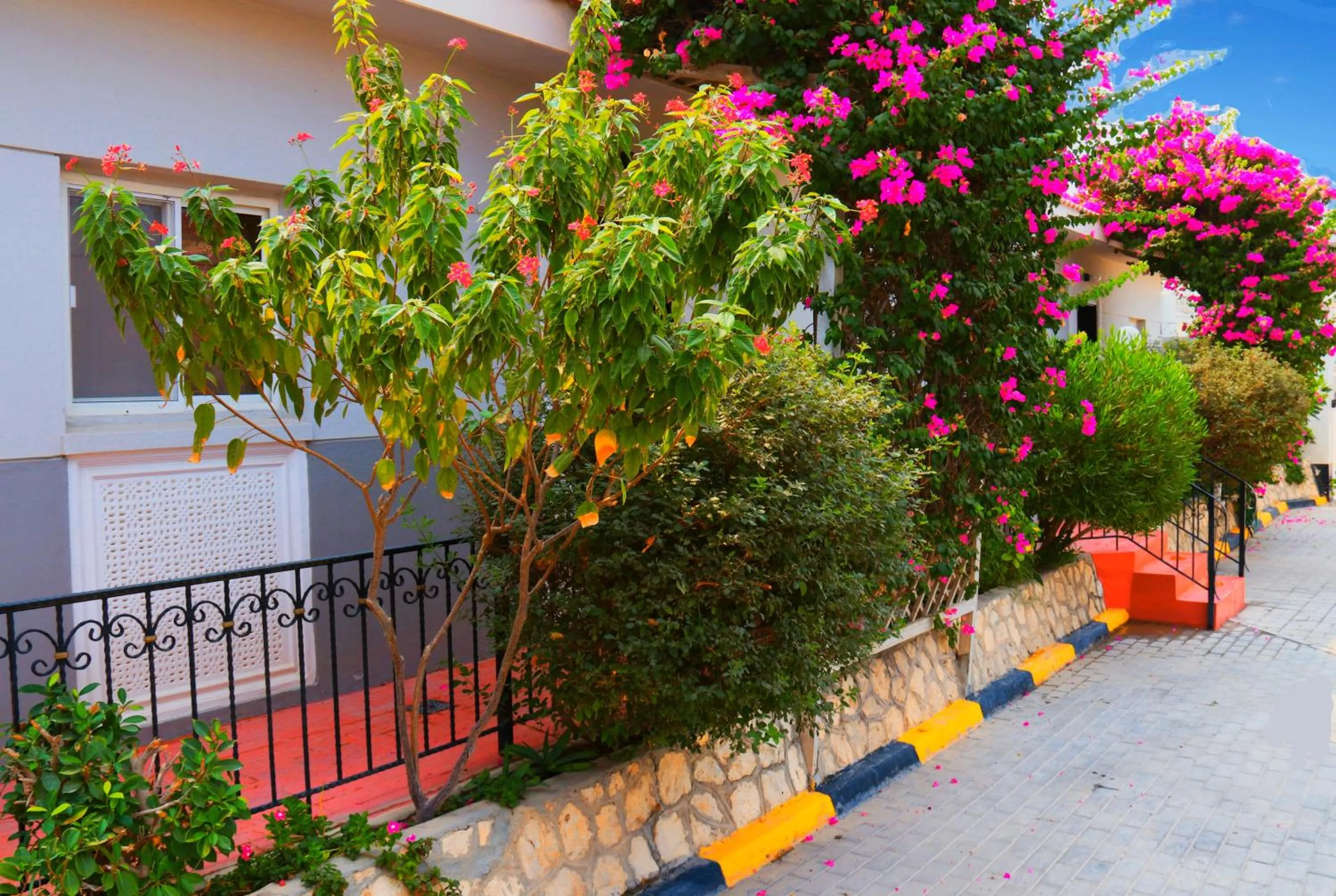 Garden in Tropicana Hotel