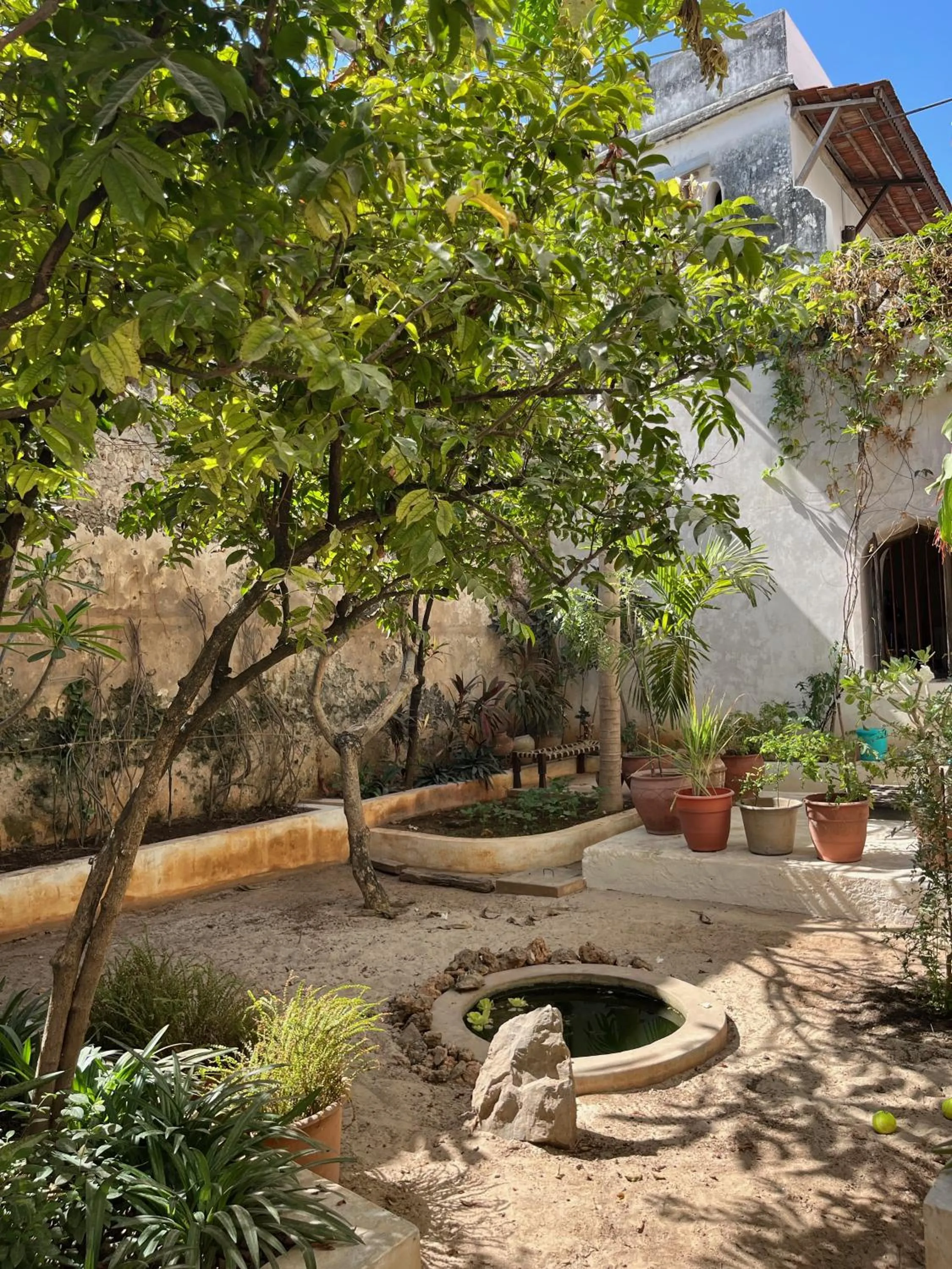 Patio in Subira House