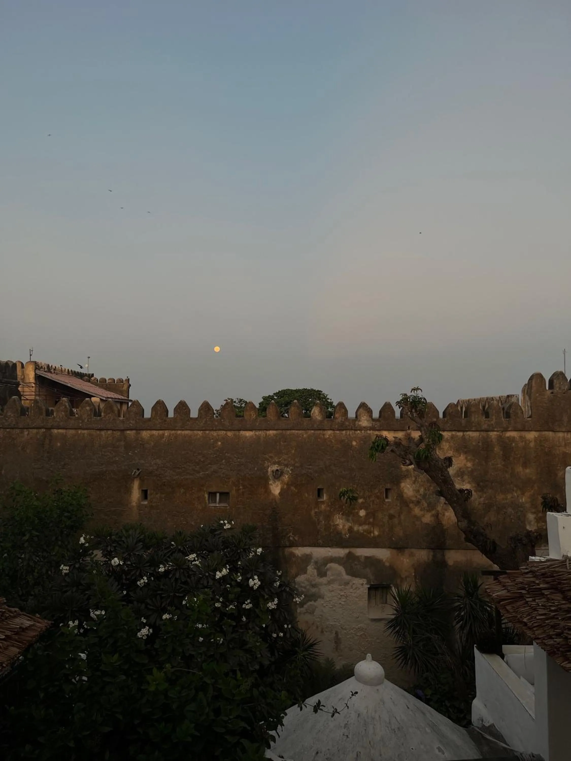 City view in Subira House