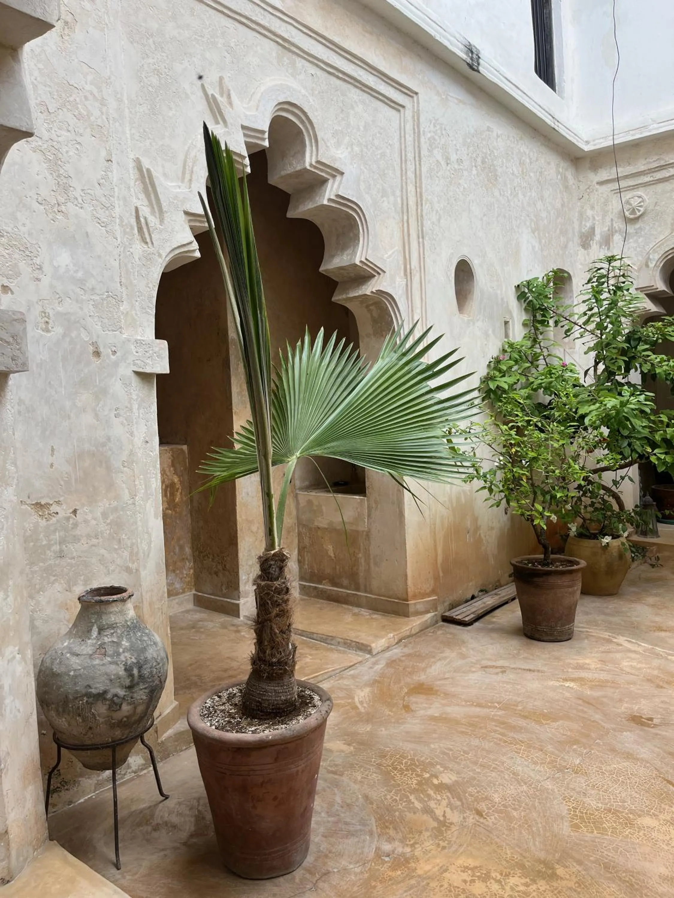 Patio in Subira House