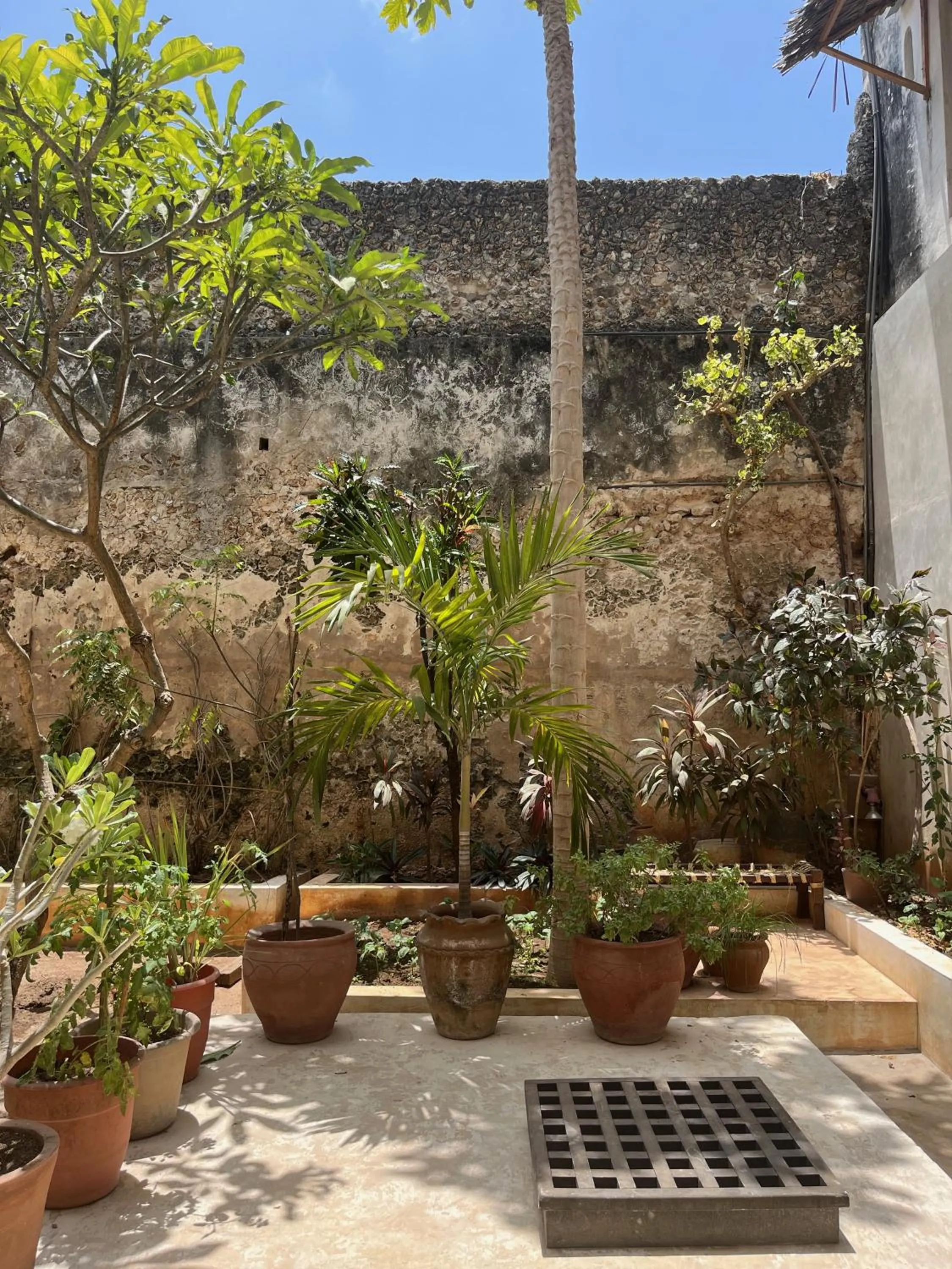 Garden in Subira House