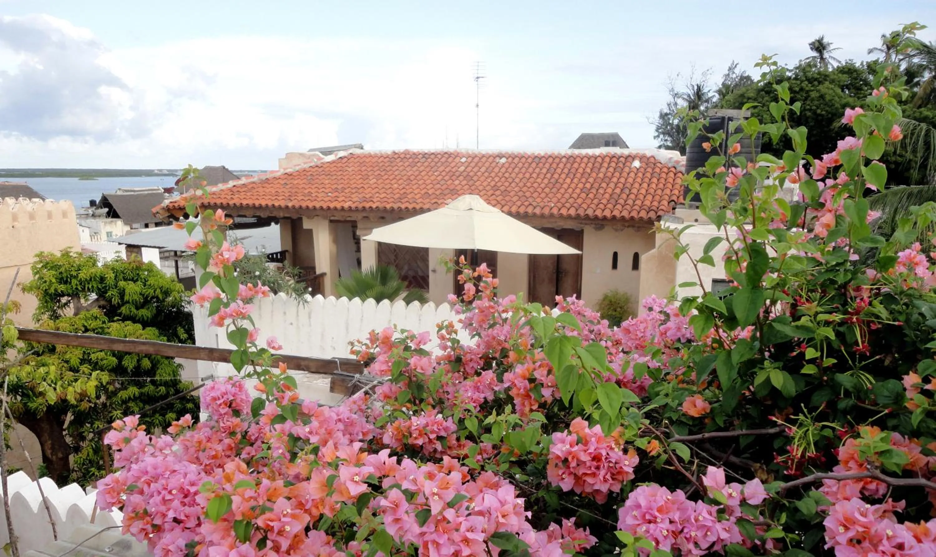 Patio in Subira House