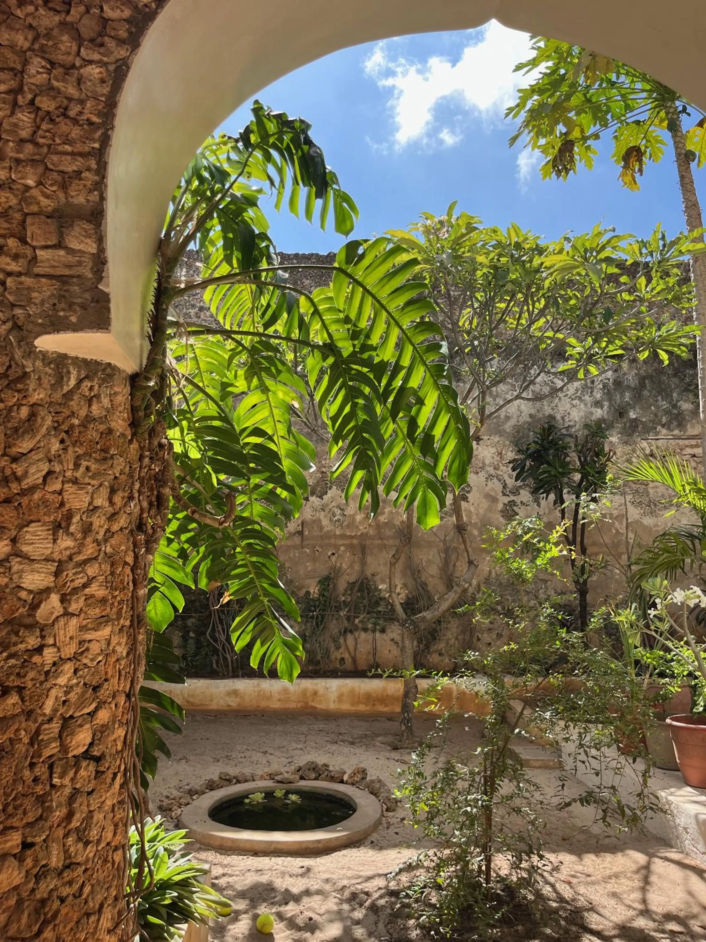 Garden in Subira House