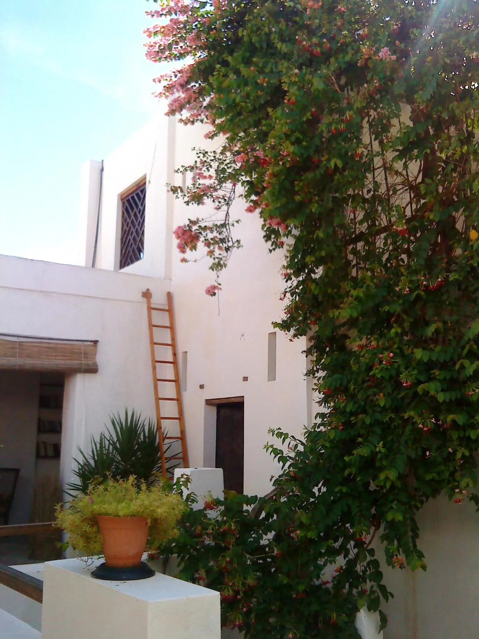 Balcony/Terrace in Subira House