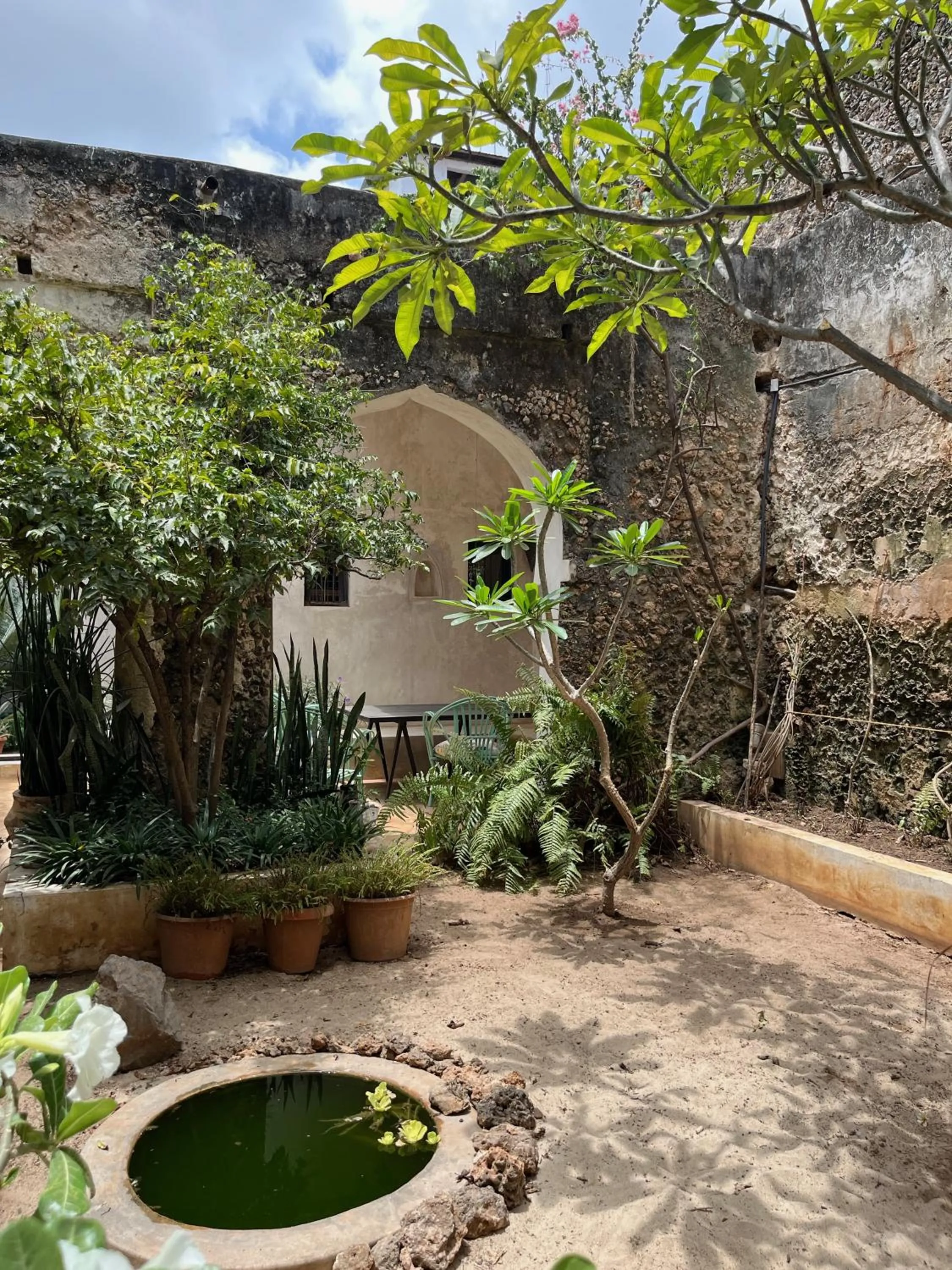 Garden in Subira House