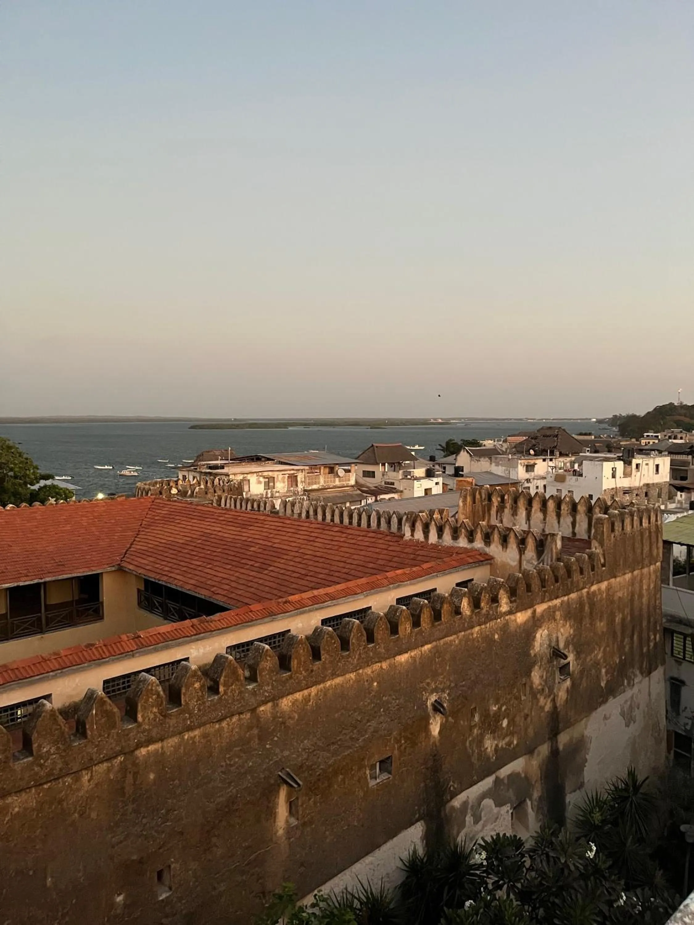 Natural landscape in Subira House