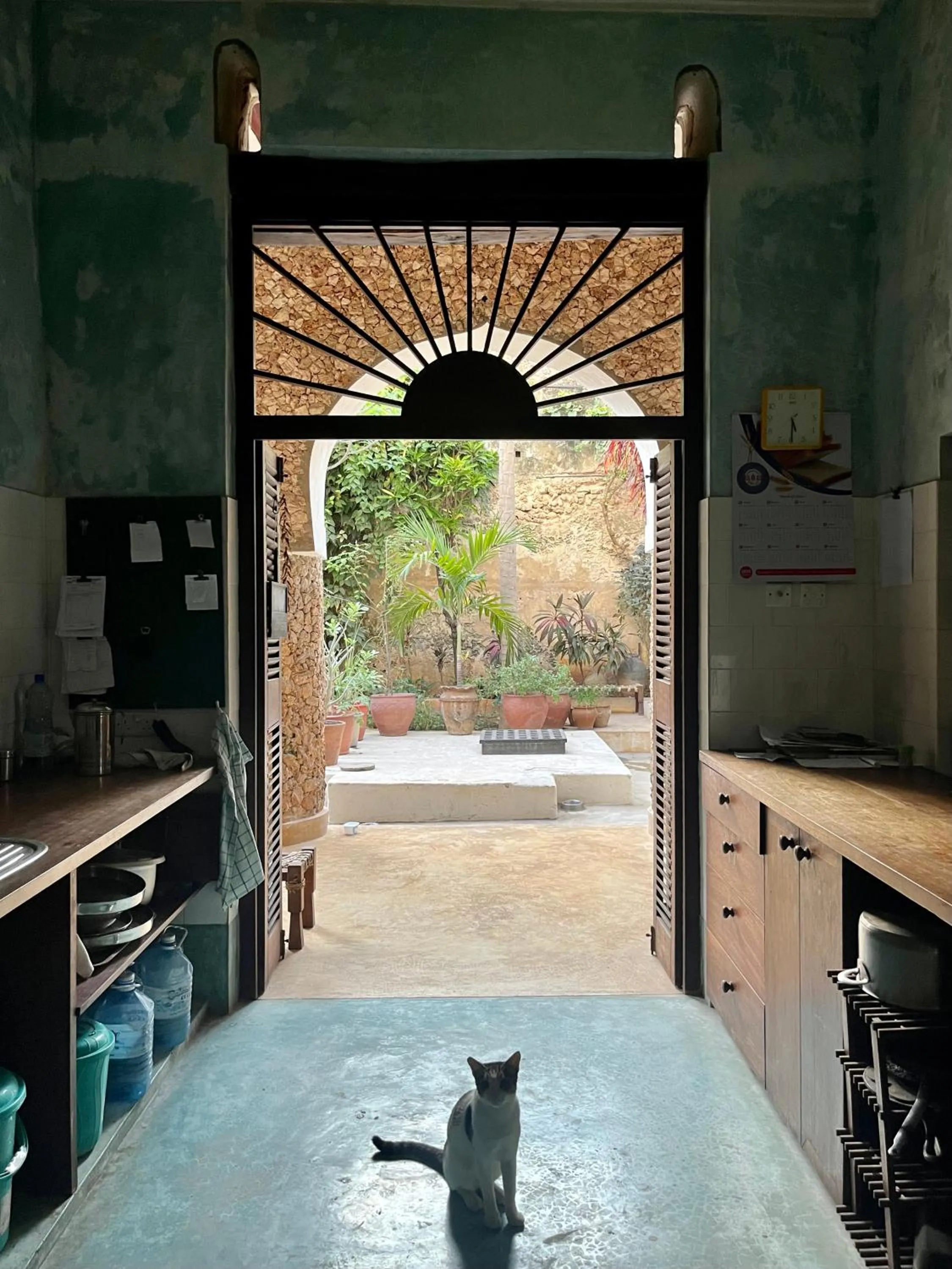 Communal kitchen in Subira House