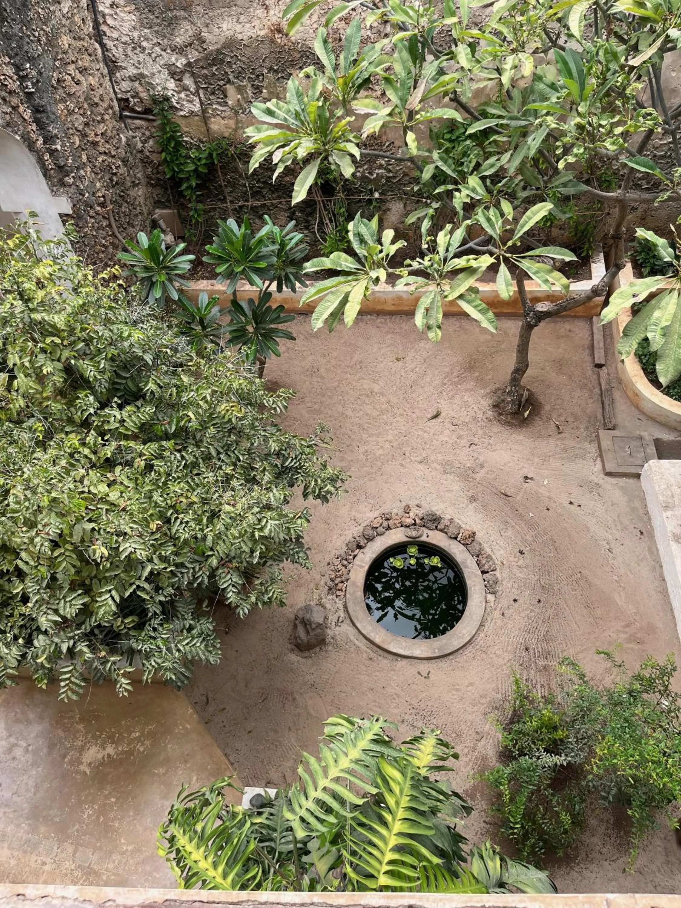 Garden view in Subira House