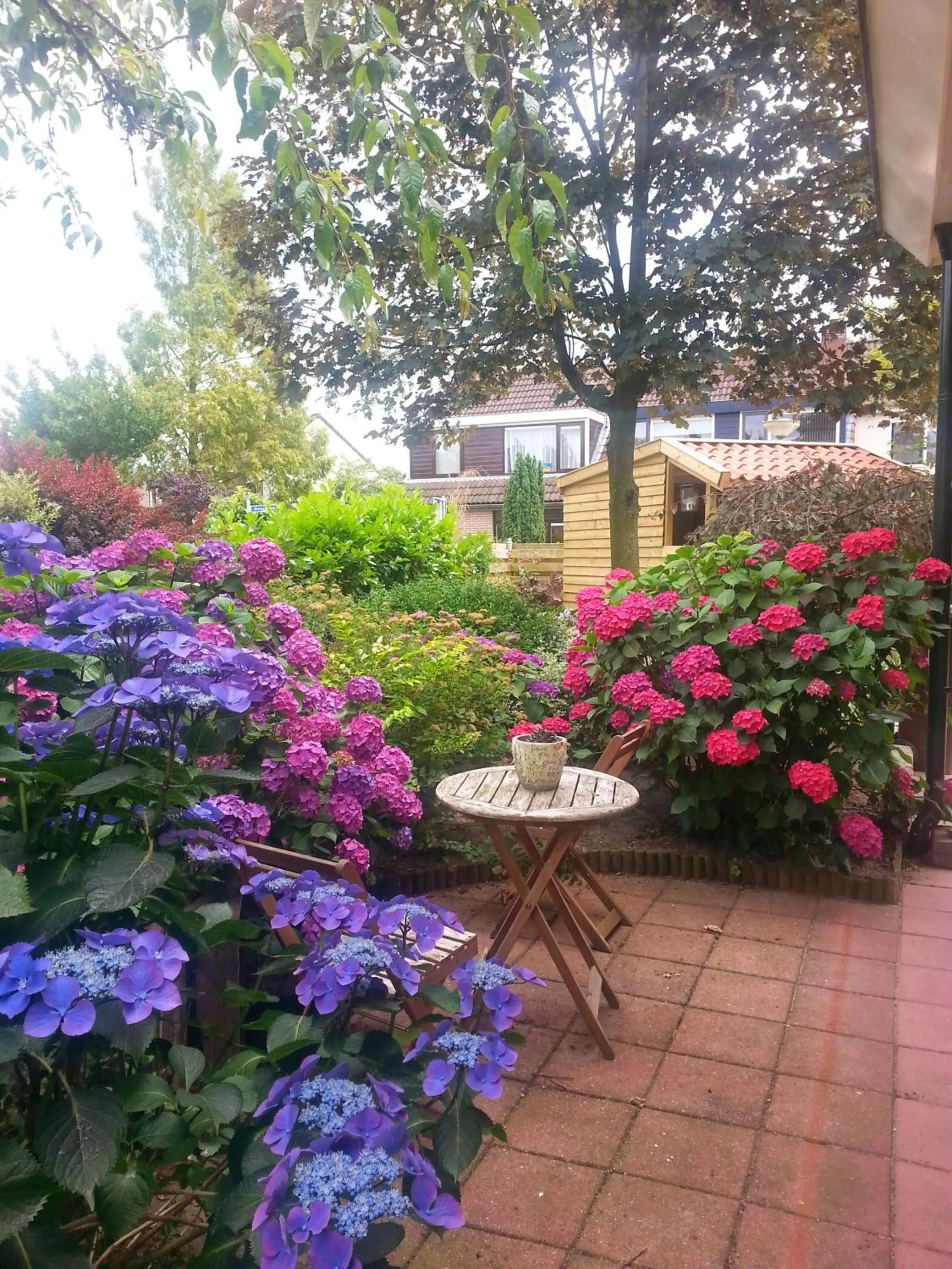 Garden in Bed & Breakfast de Vrijheid