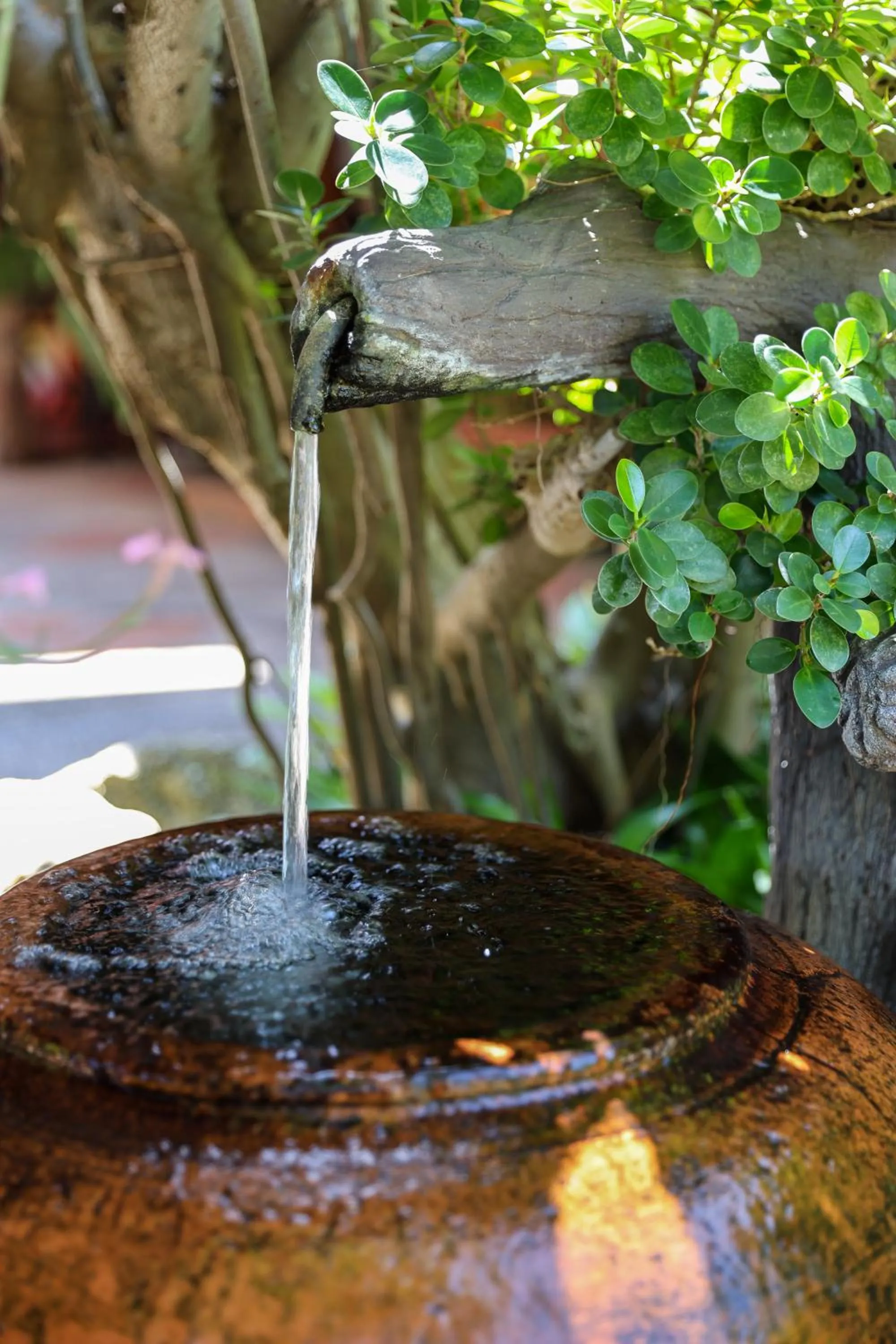 Baan Vanida Garden Resort