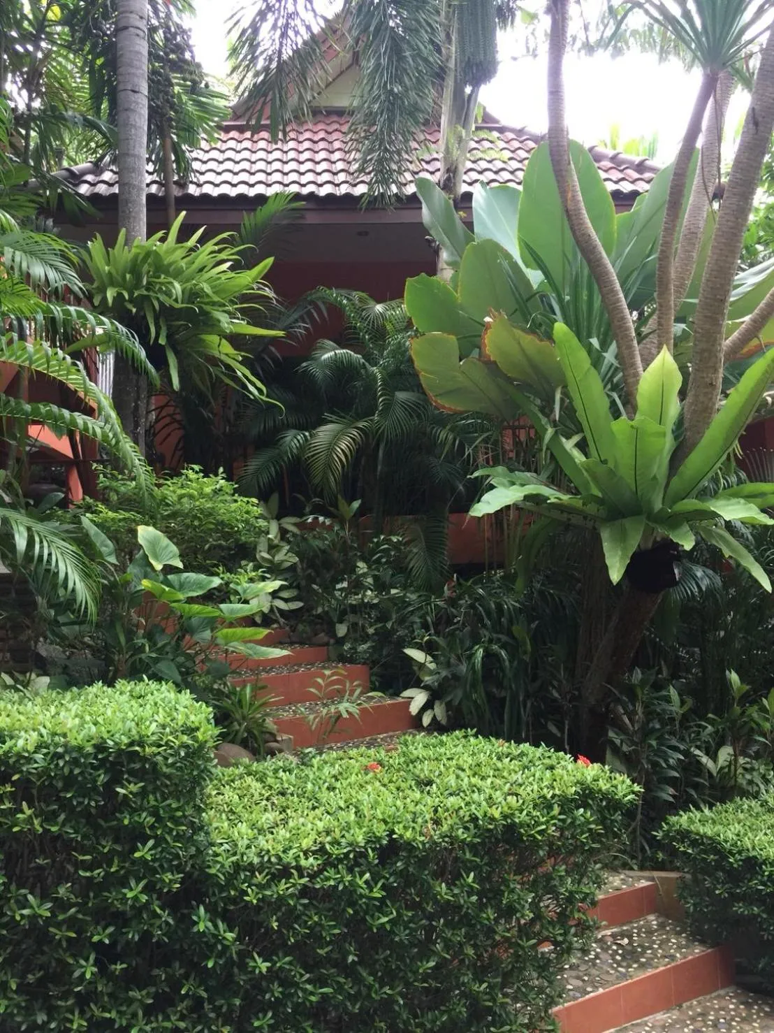 Garden view in Baan Vanida Garden Resort
