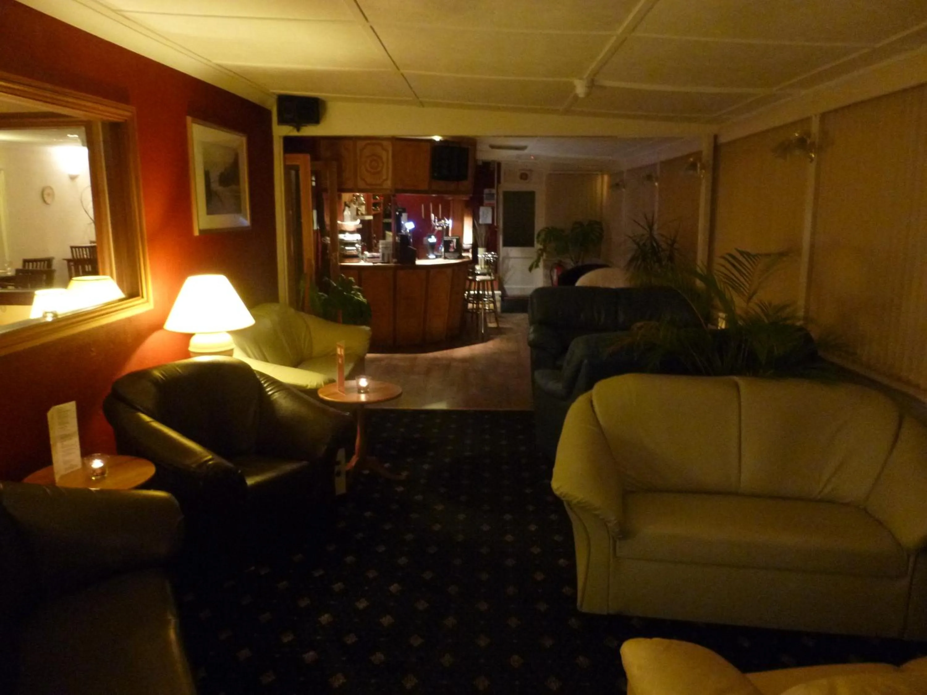 Lounge or bar in The Manian