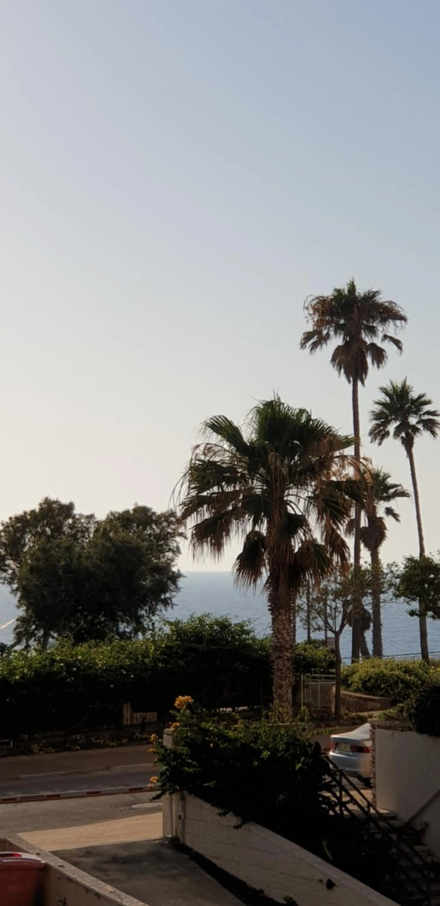 Day in David Hameleh House