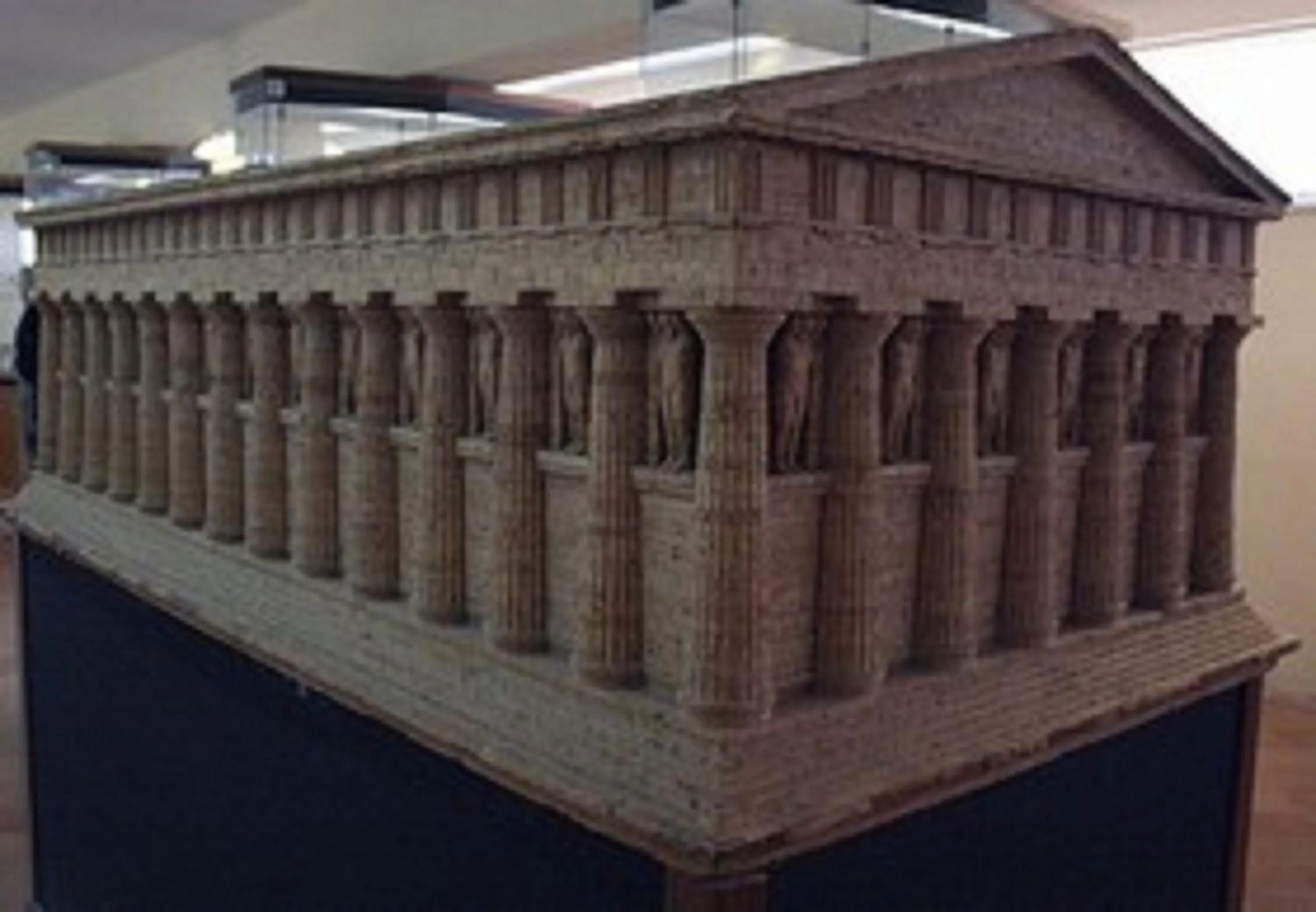 Area and facilities in Il Mandorlo