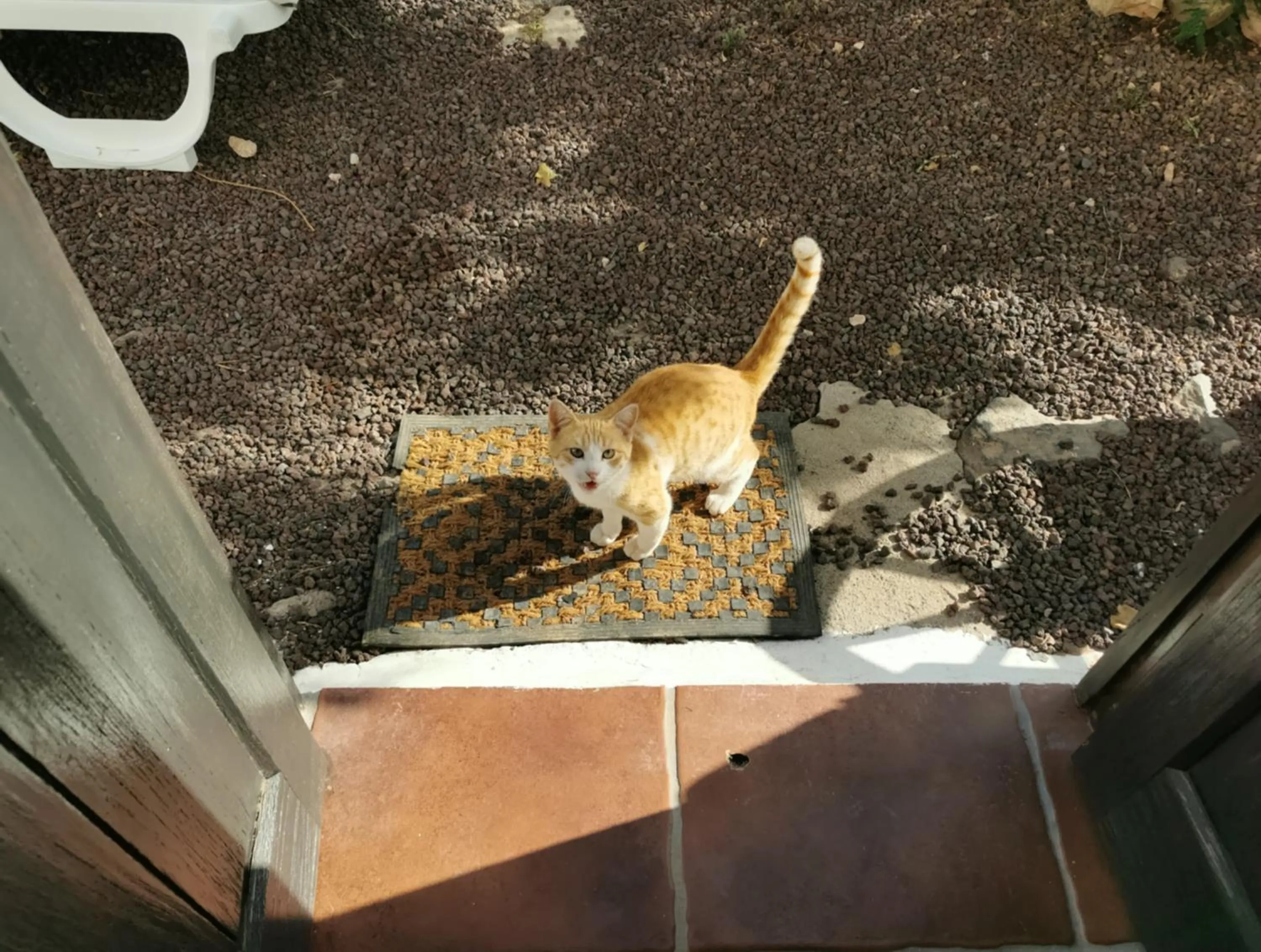 Off site in Villa Cecilio