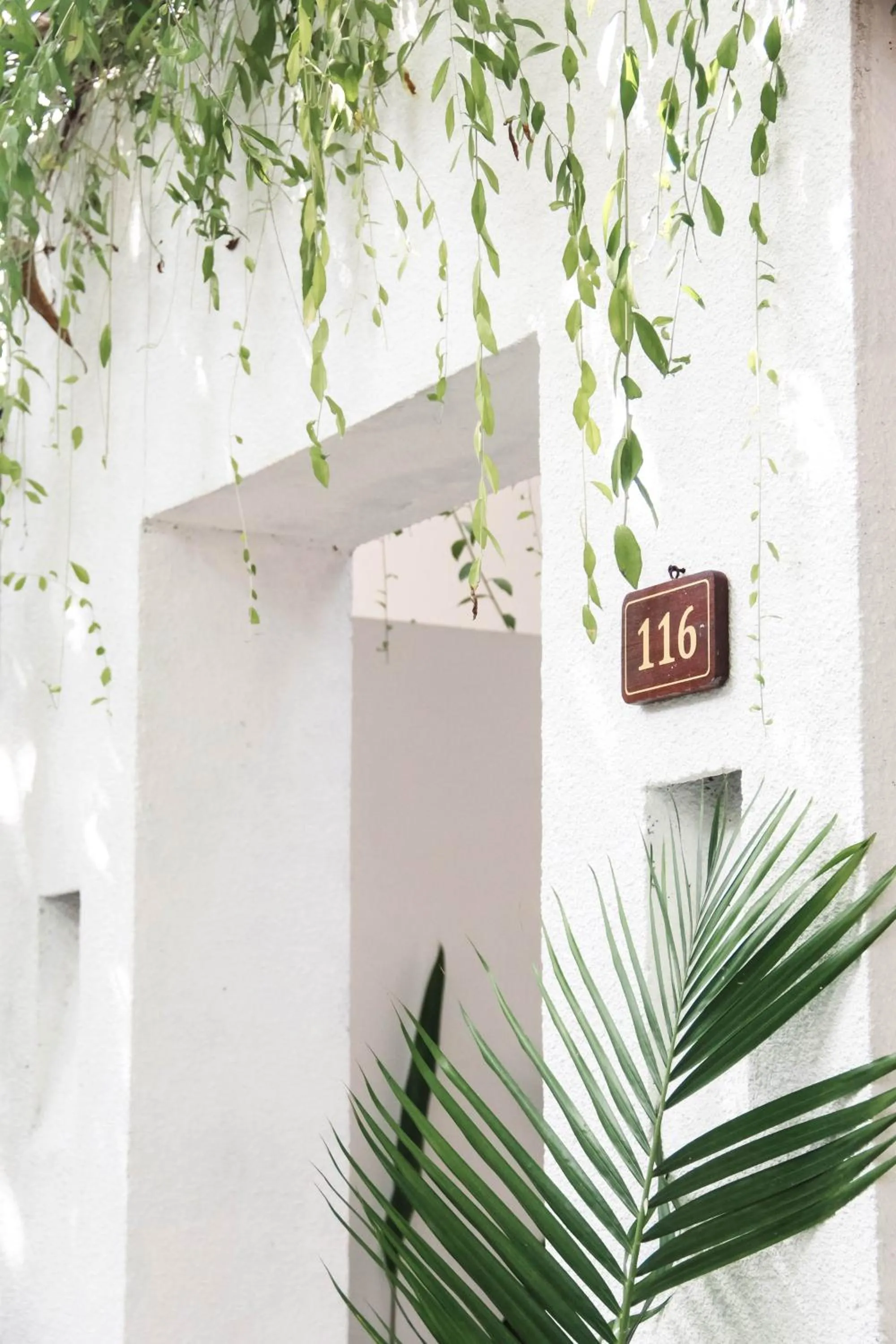 Day in Lubdhaka Canggu