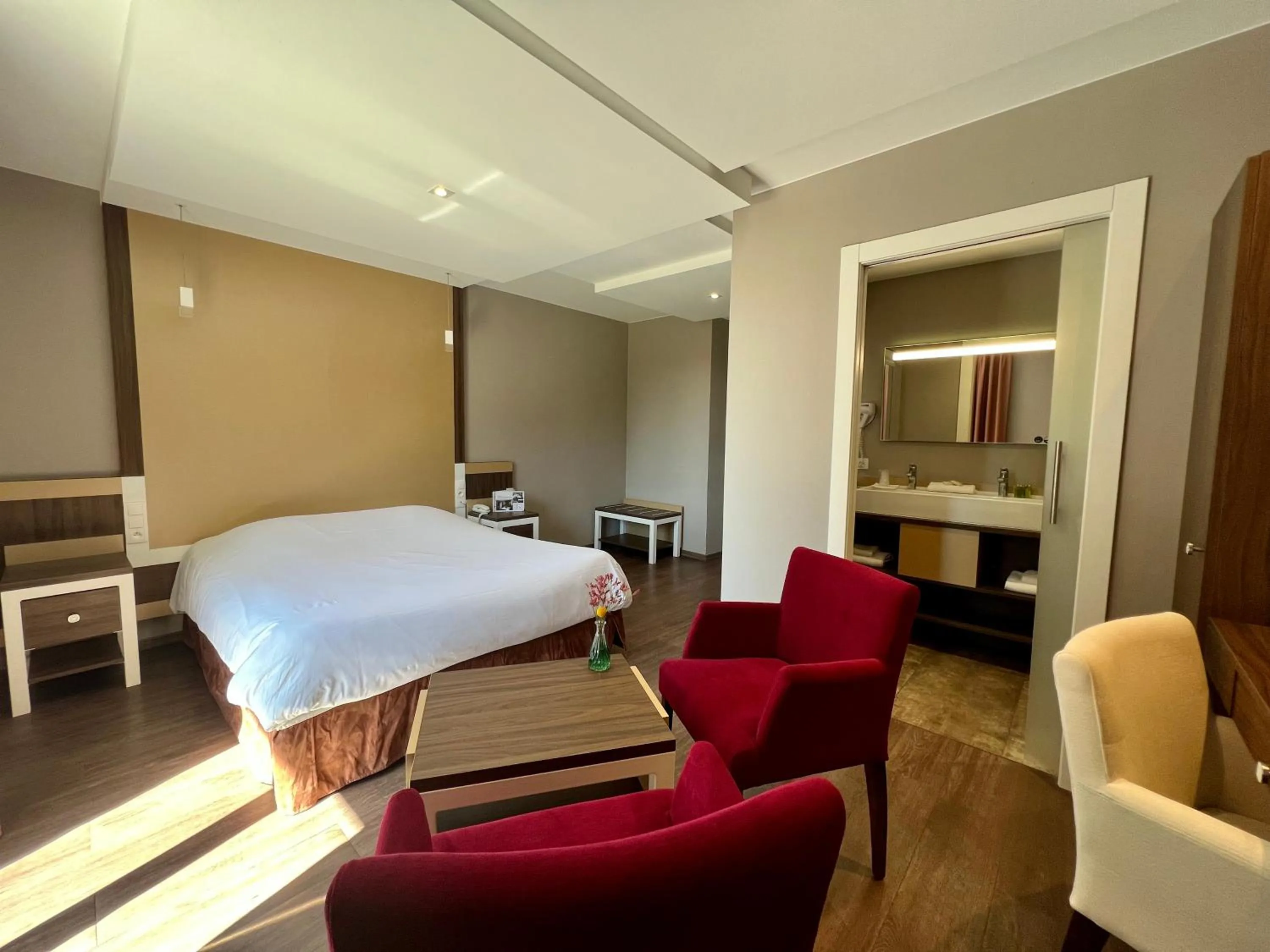 Photo of the whole room in Hôtel les Bergeronnettes