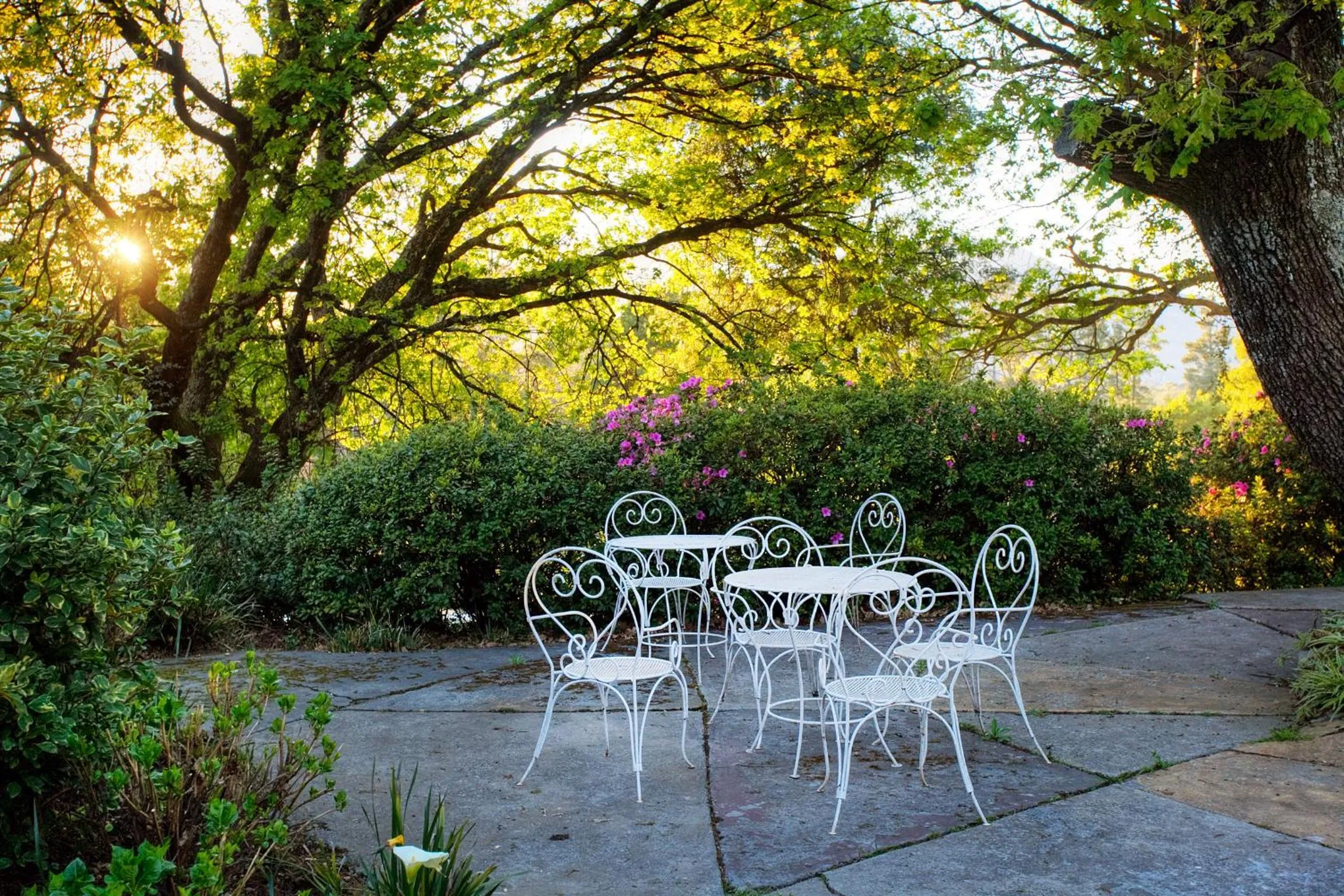 Garden in Hogsback Arminel Hotel