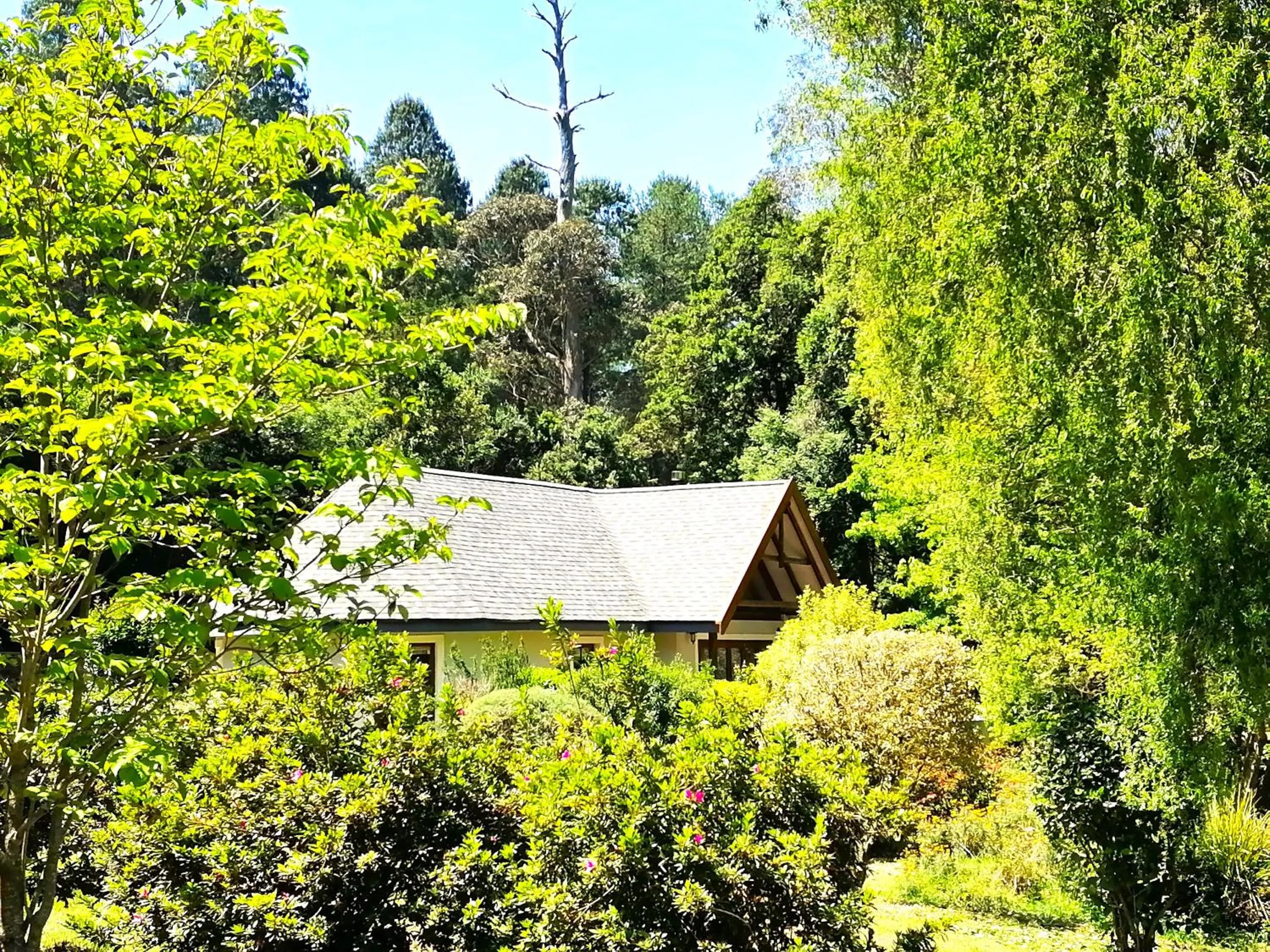 Hogsback Arminel Hotel