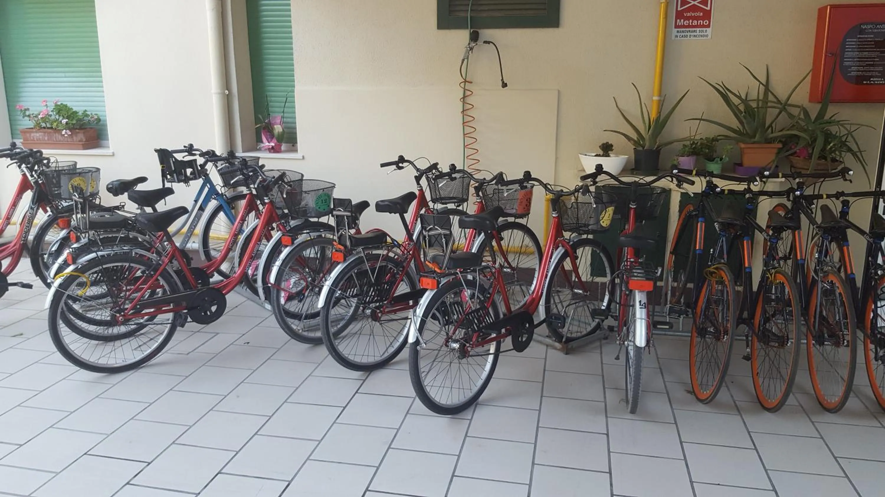 Cycling in Hotel Ambra
