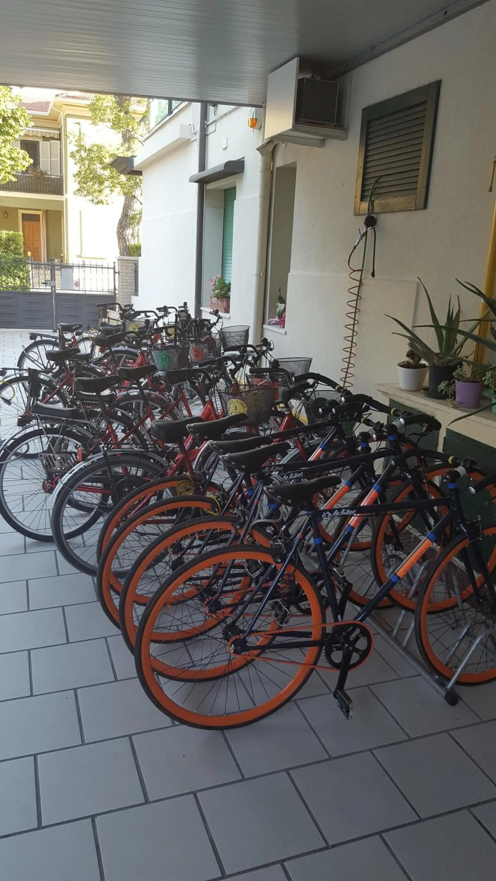 Cycling in Hotel Ambra