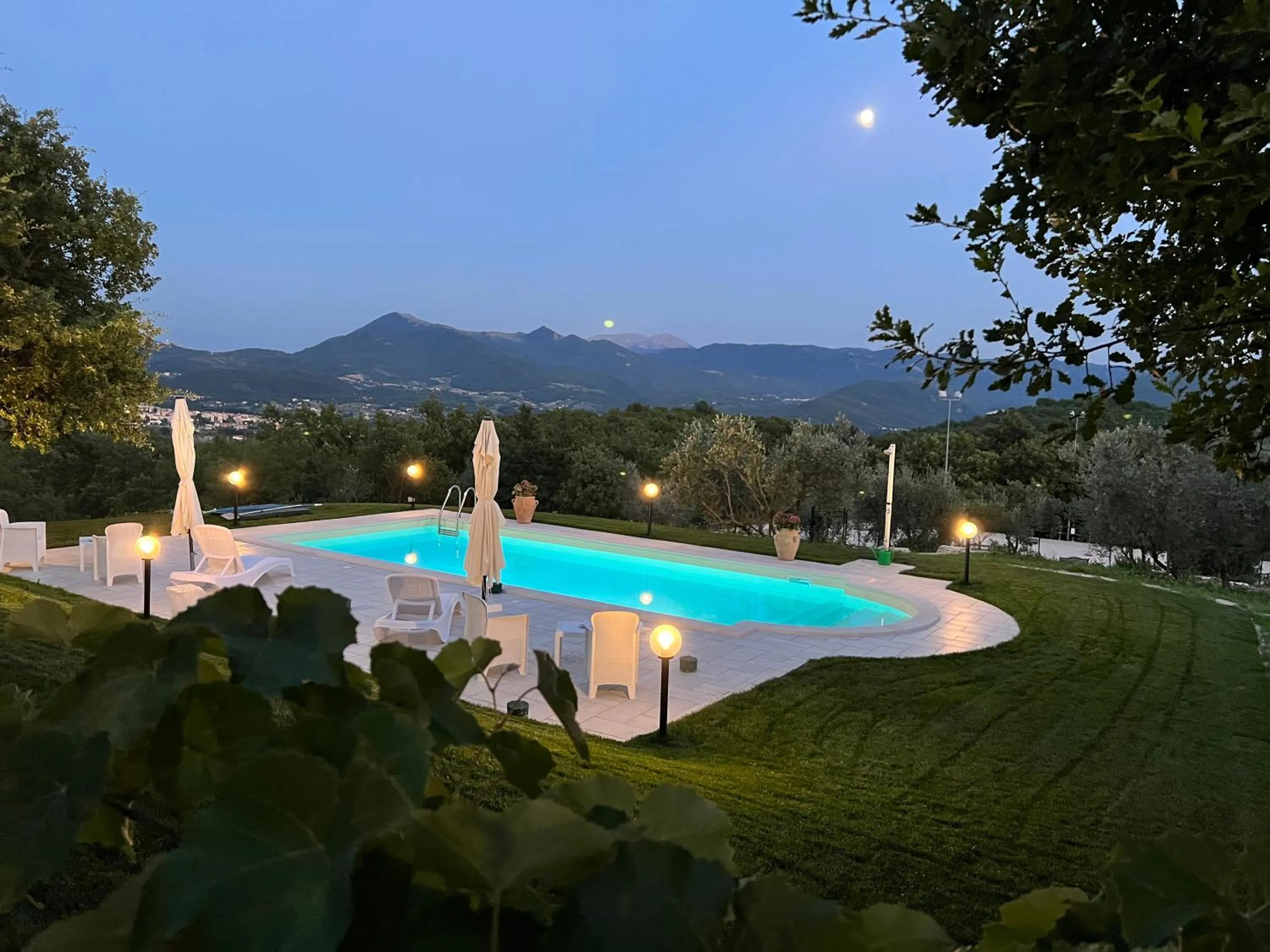 Swimming pool in The Forest House