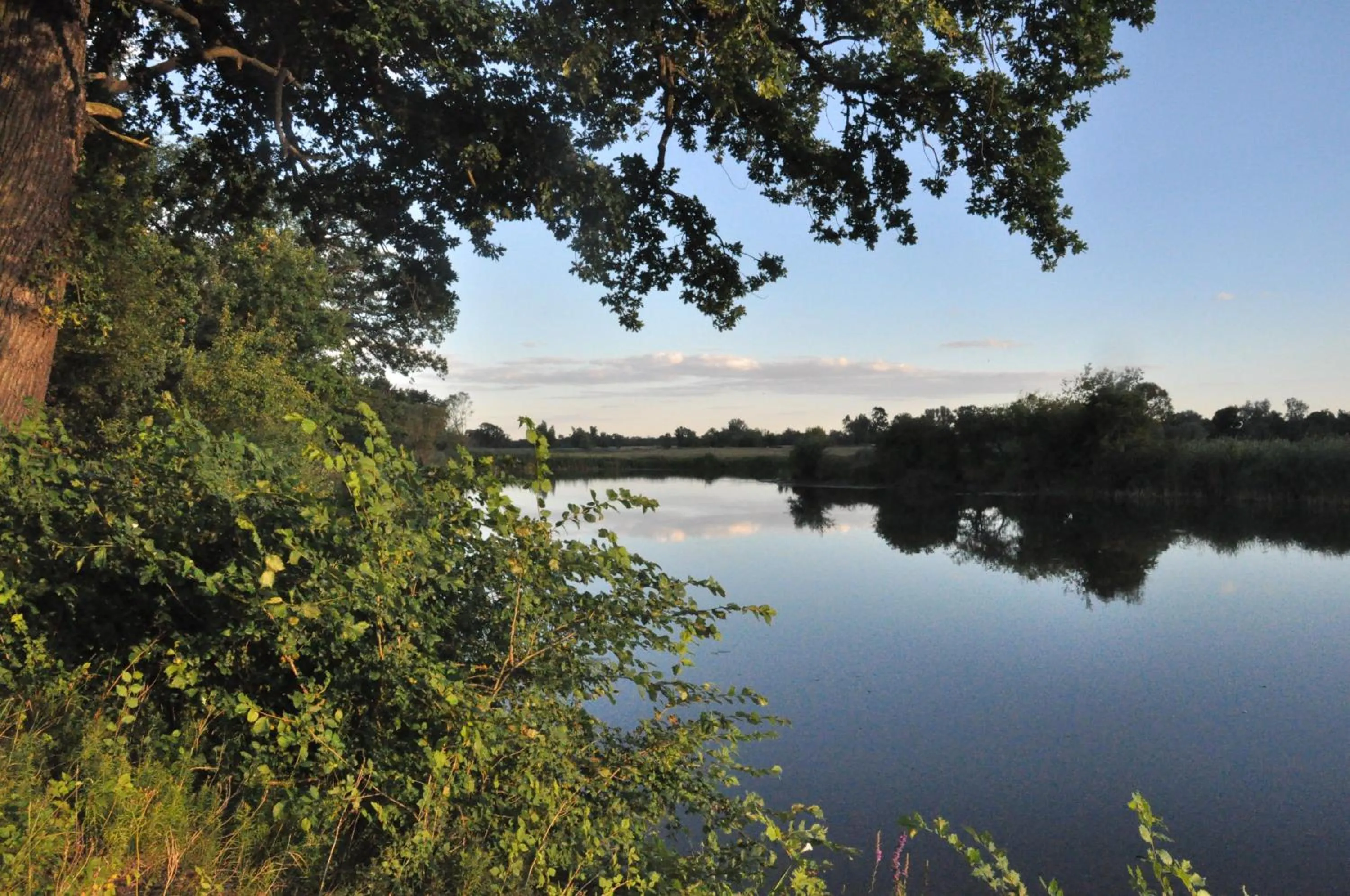 Lake view in Pension (FW) "Seeblick" am Stelzenhaus