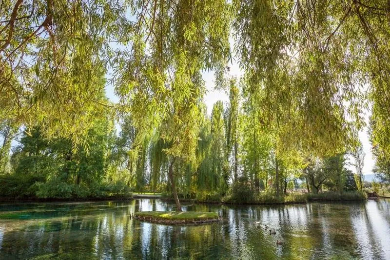 Restaurant/places to eat in Il Castello di Campello