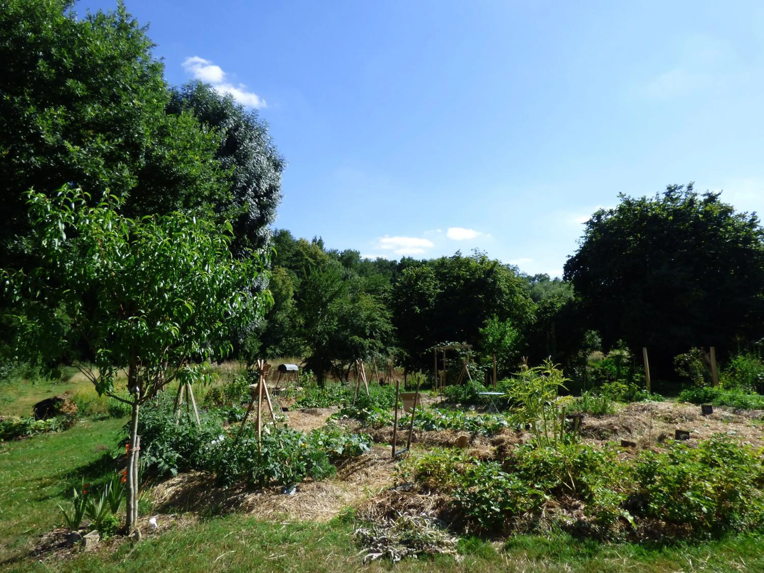 Garden in Au Son du Jardin Poitevin