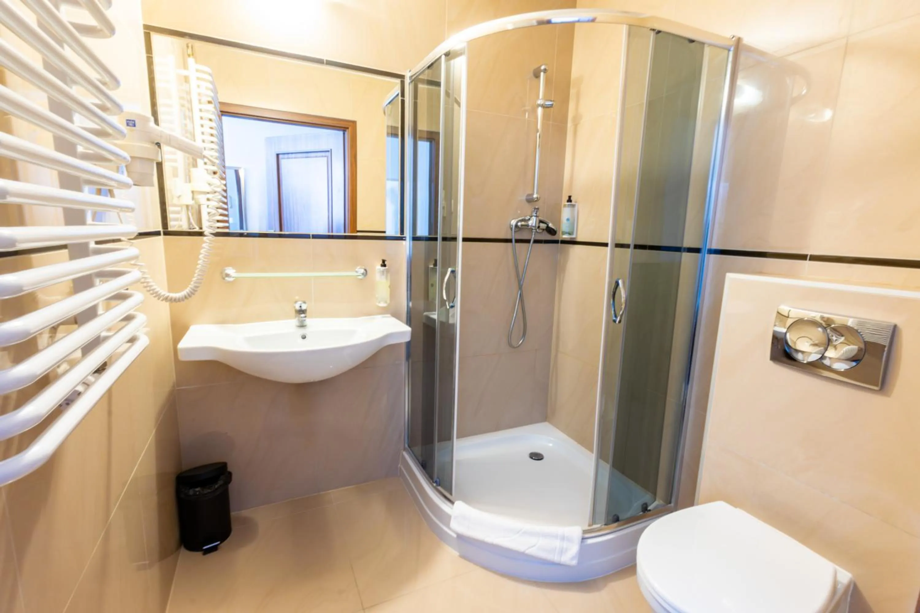 Shower in Noclegi Stadion Bed & Breakfast