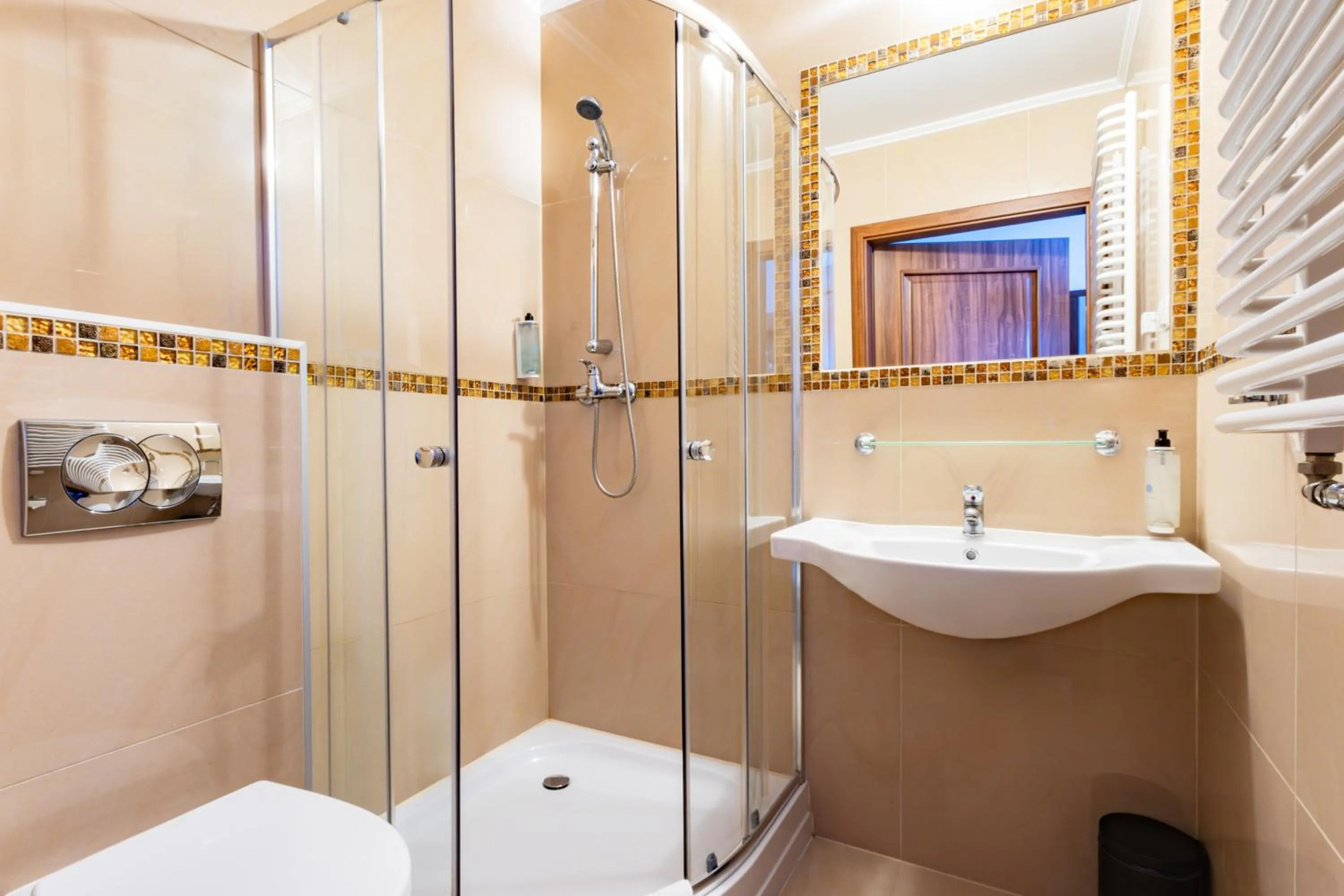 Shower in Noclegi Stadion Bed & Breakfast