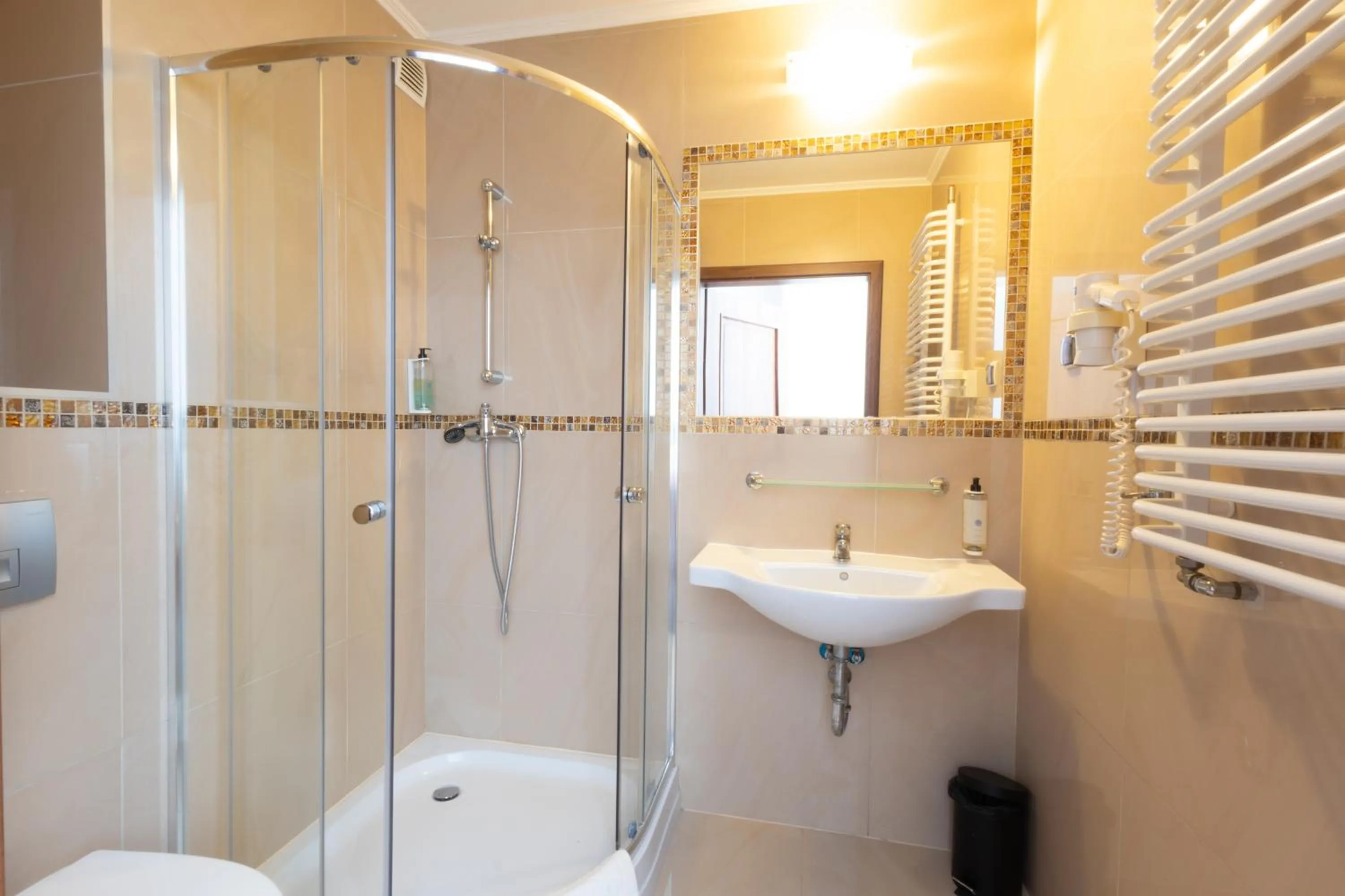 Shower in Noclegi Stadion Bed & Breakfast