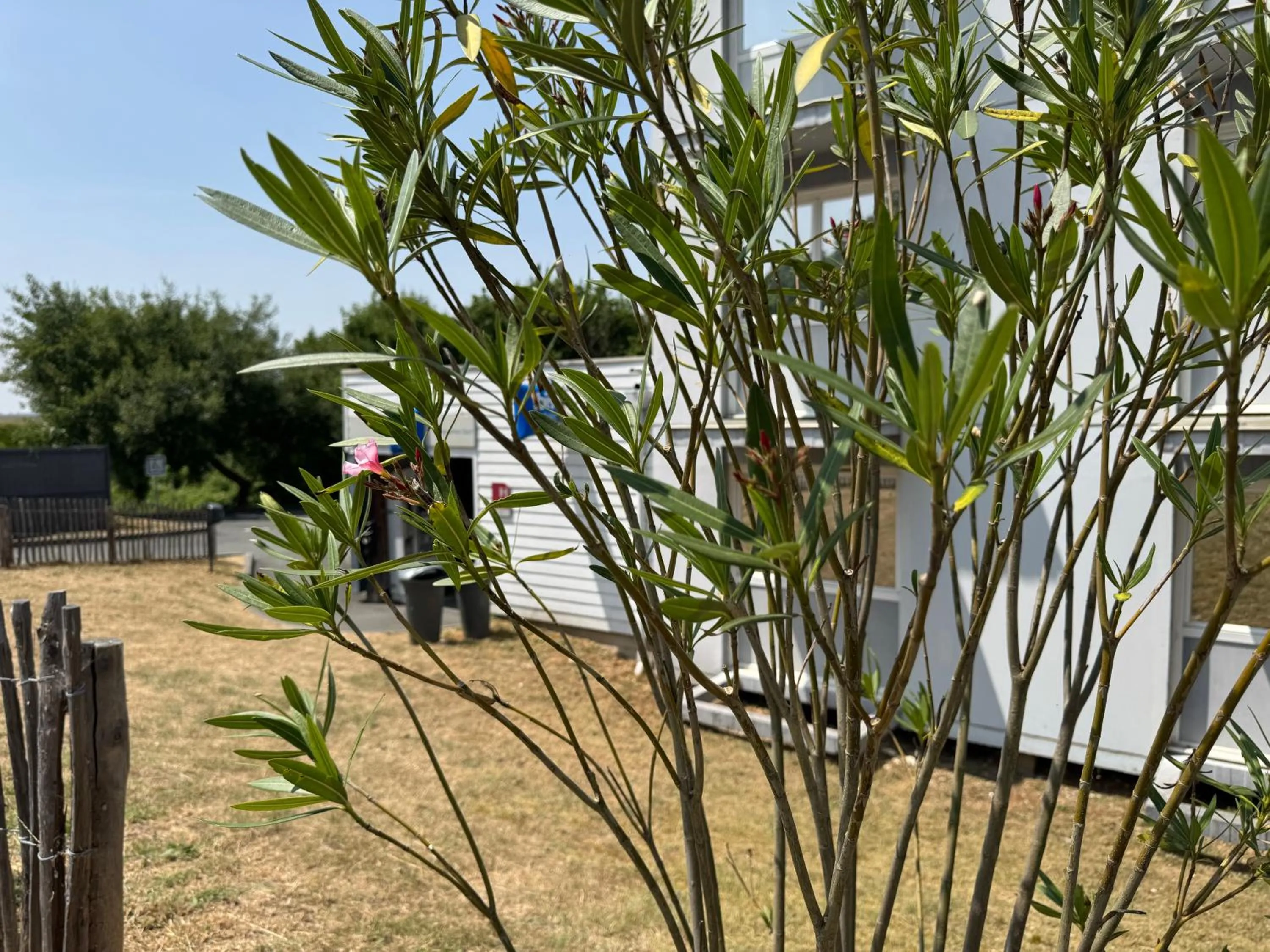 ibis budget Angoulême Nord