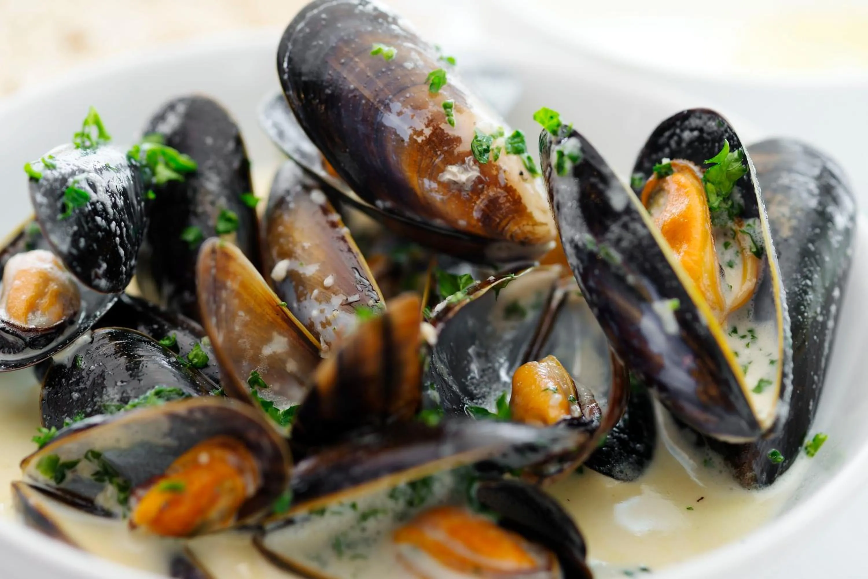 Food close-up in Wagon & Horses