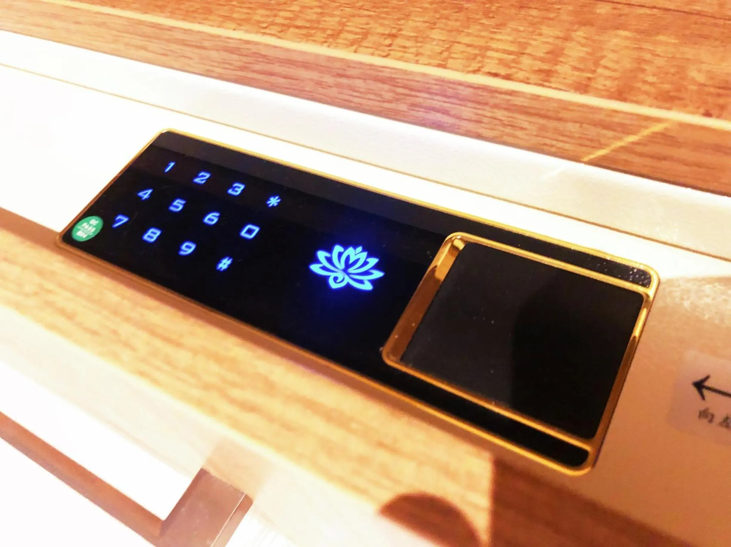 Area and facilities in hipstercity hostel