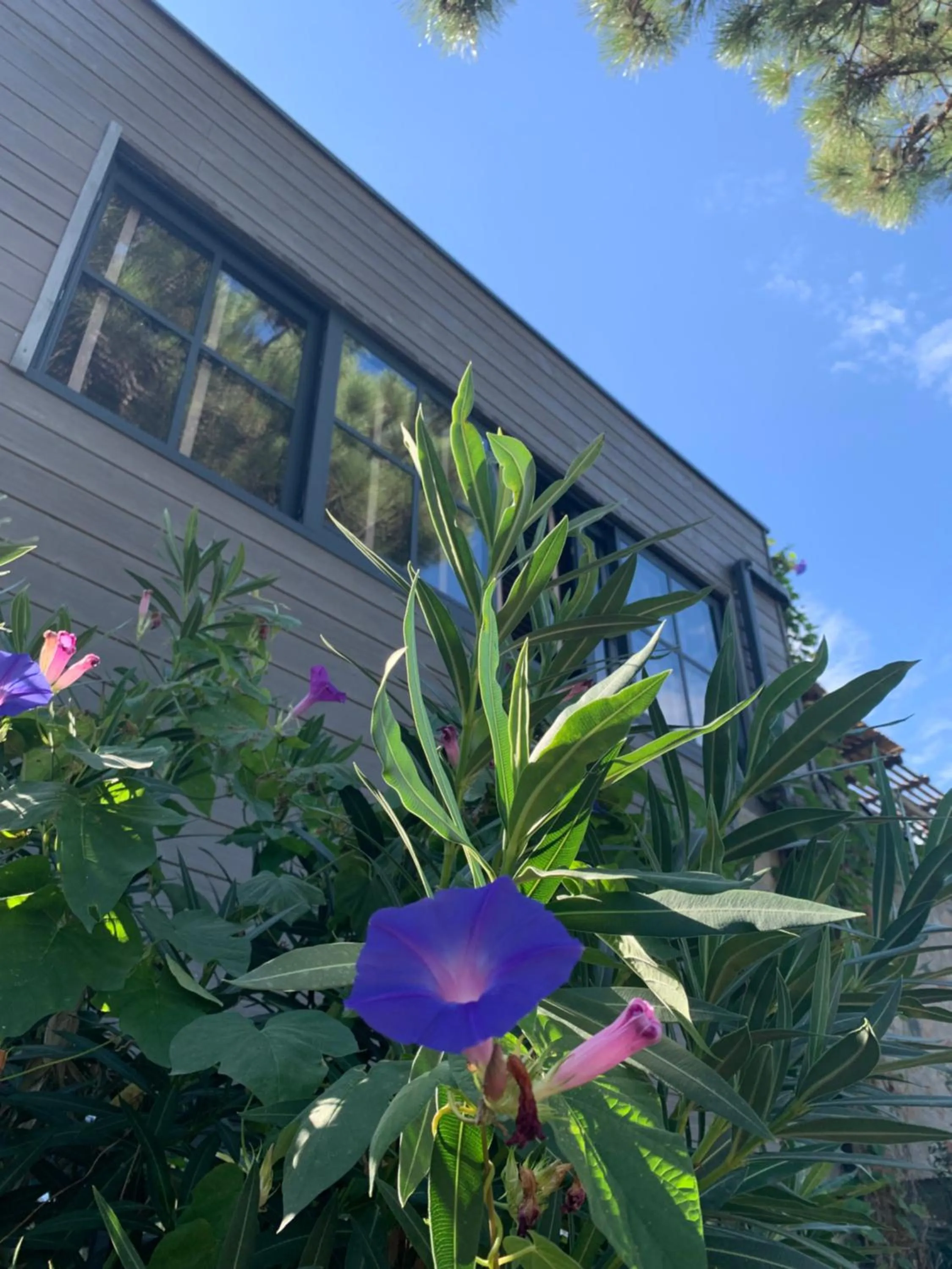 View (from property/room) in Maranatha, front de mer avec plage