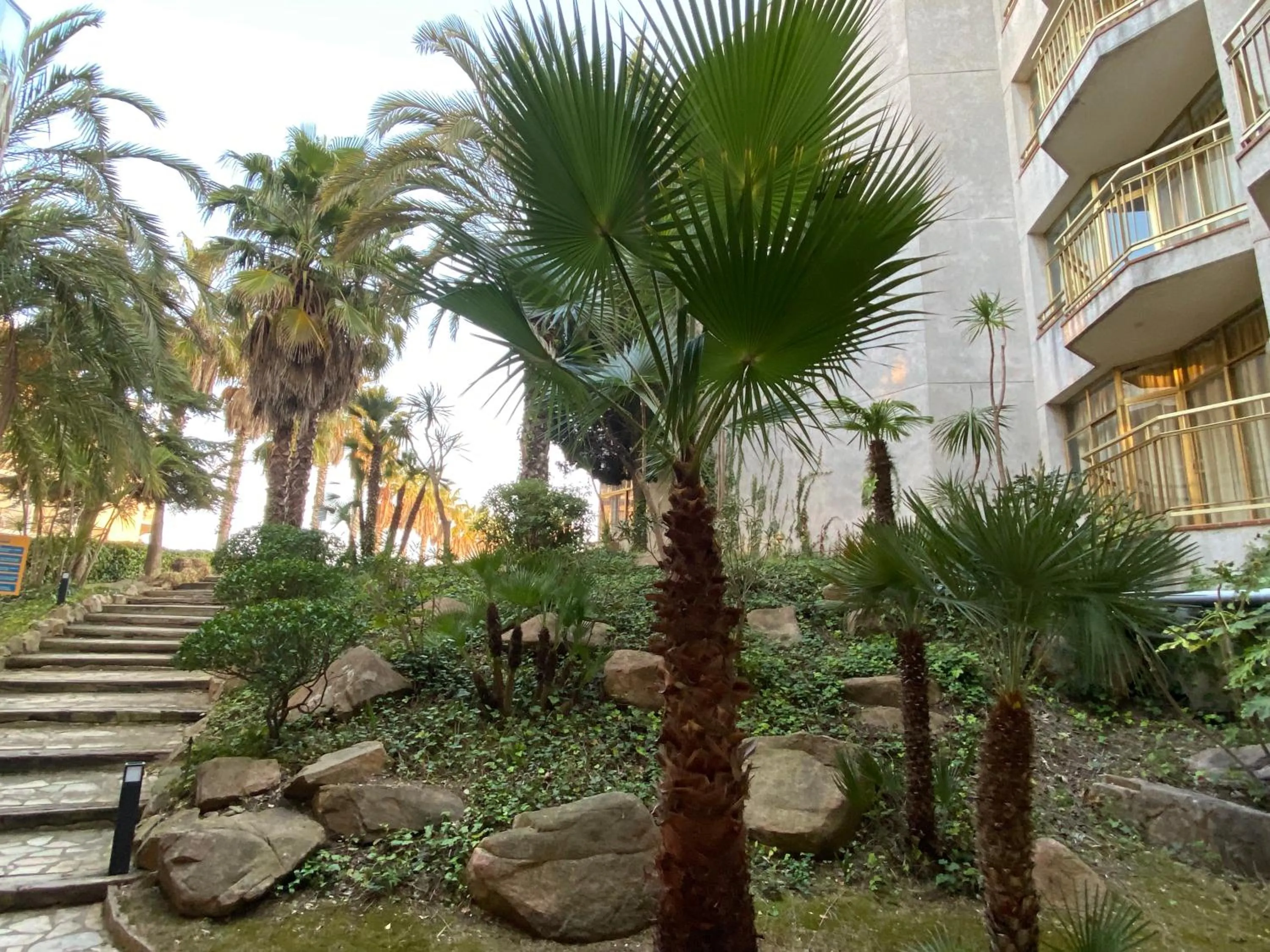 Garden in AR Bolero park