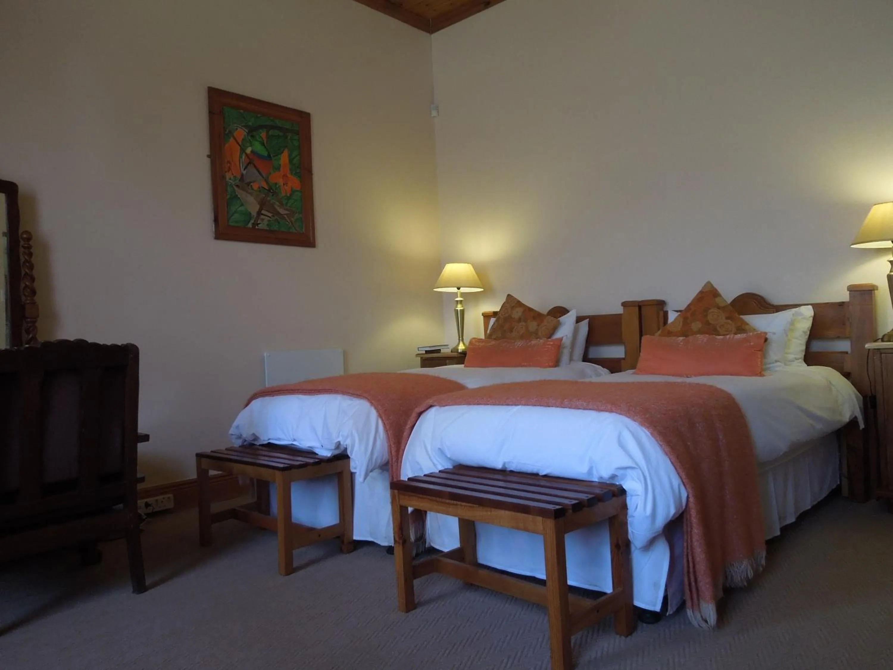 Bed in Angler and Antelope Guesthouse