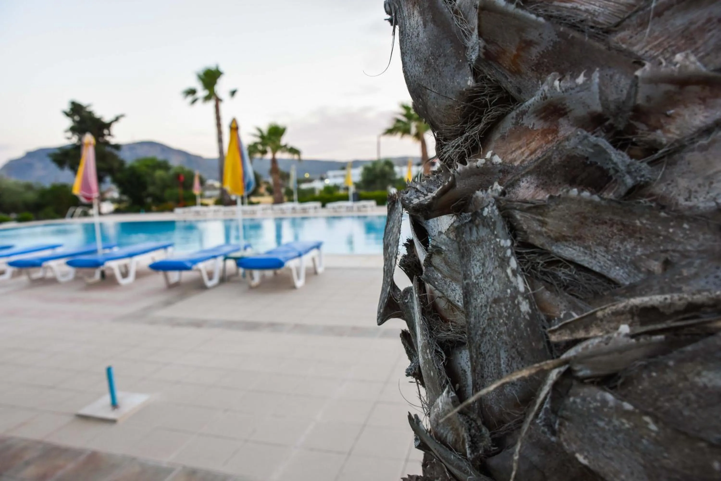 Garden view in Chrysoula Hotel