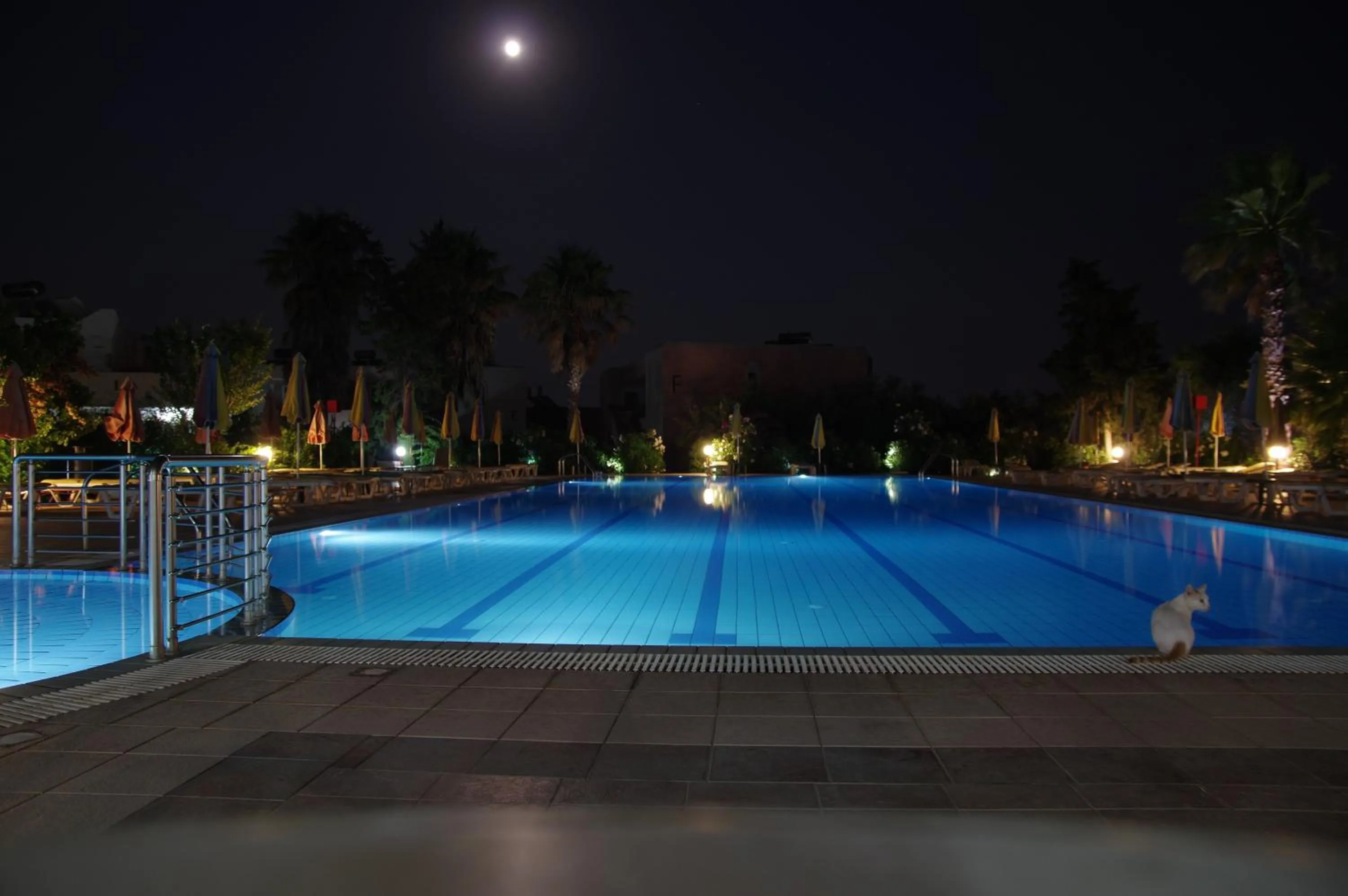 Night in Chrysoula Hotel