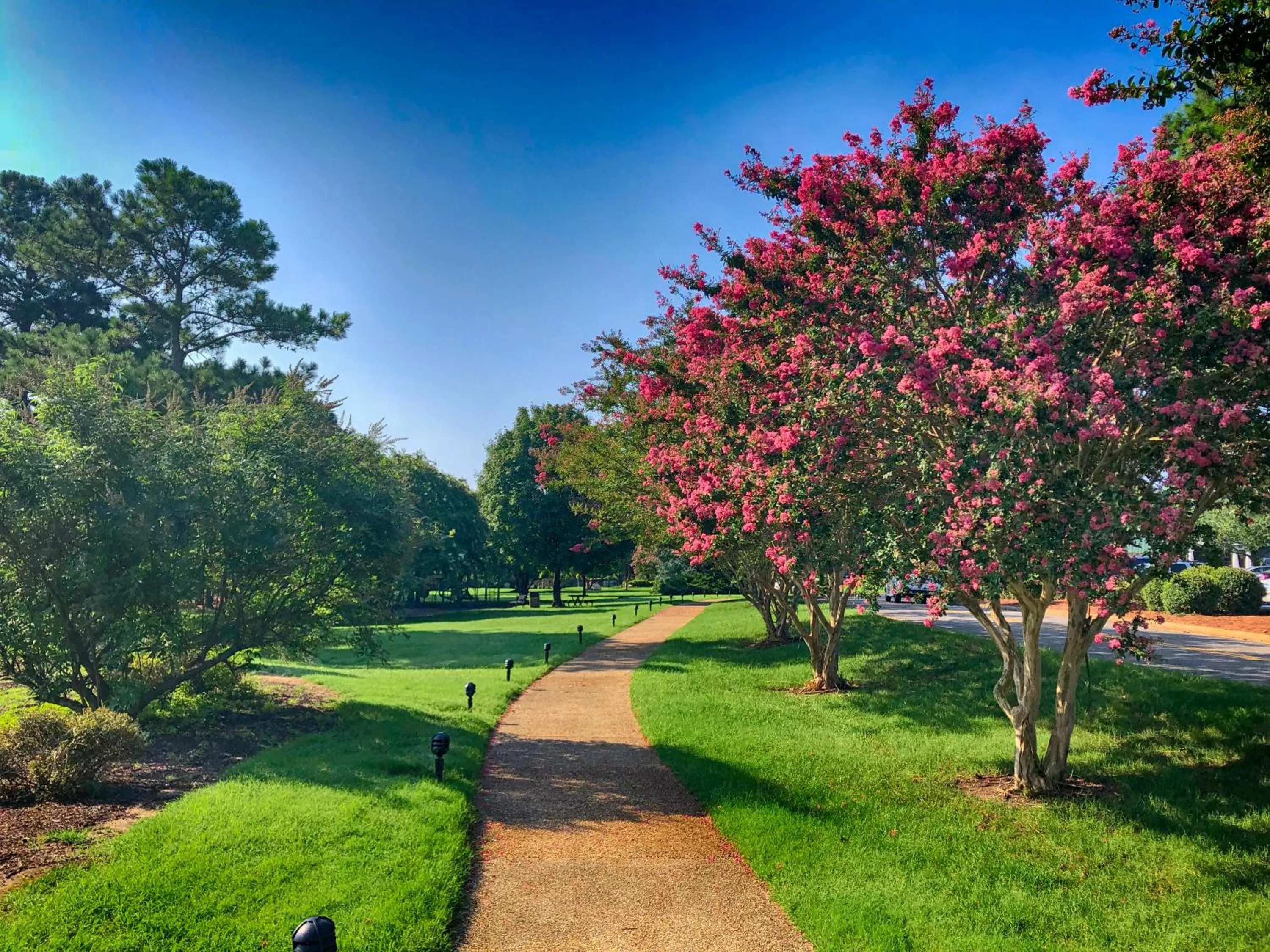 Natural landscape in Kingsmill Resort
