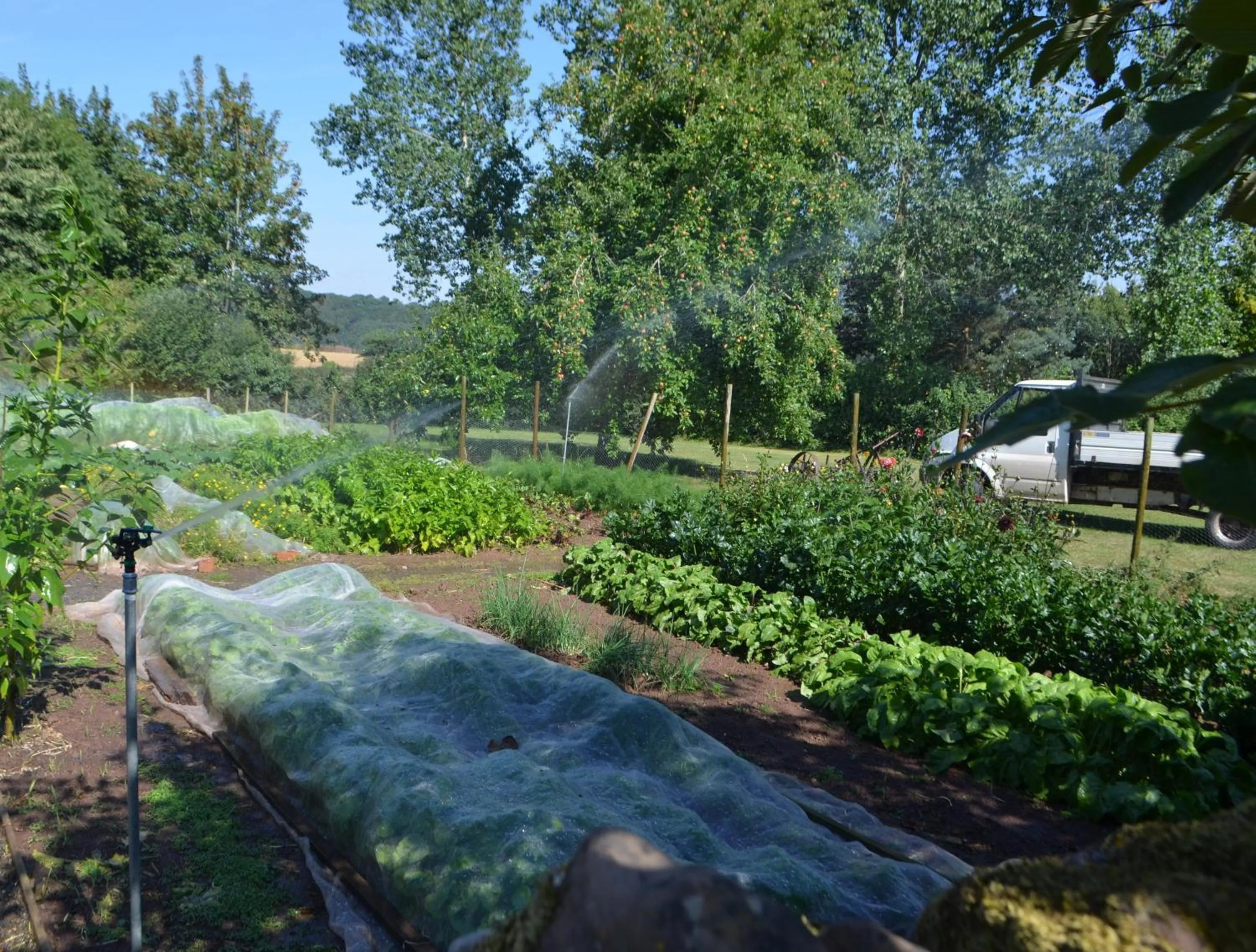 Garden in Castle House Hotel