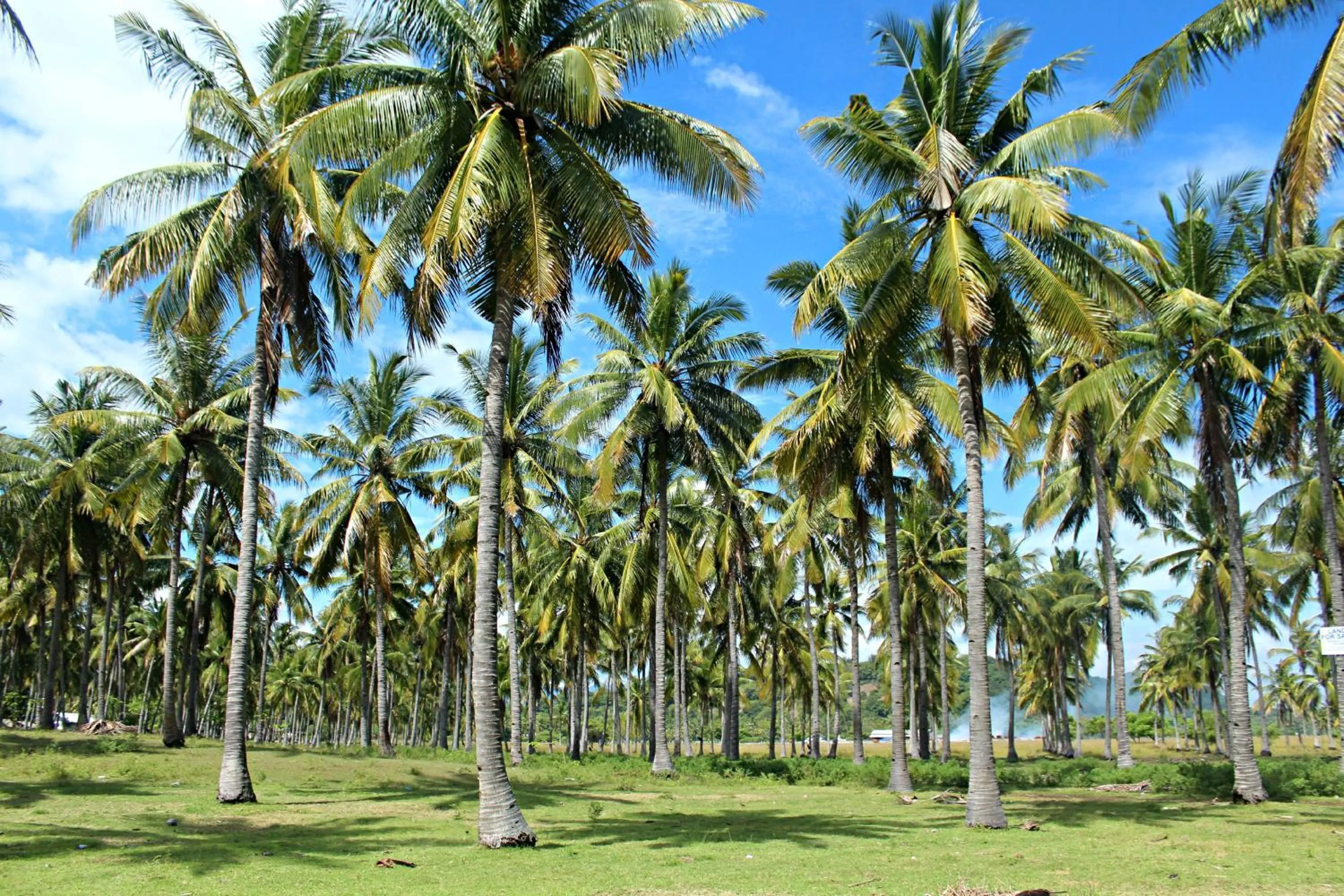 Natural landscape in Gili Tenda