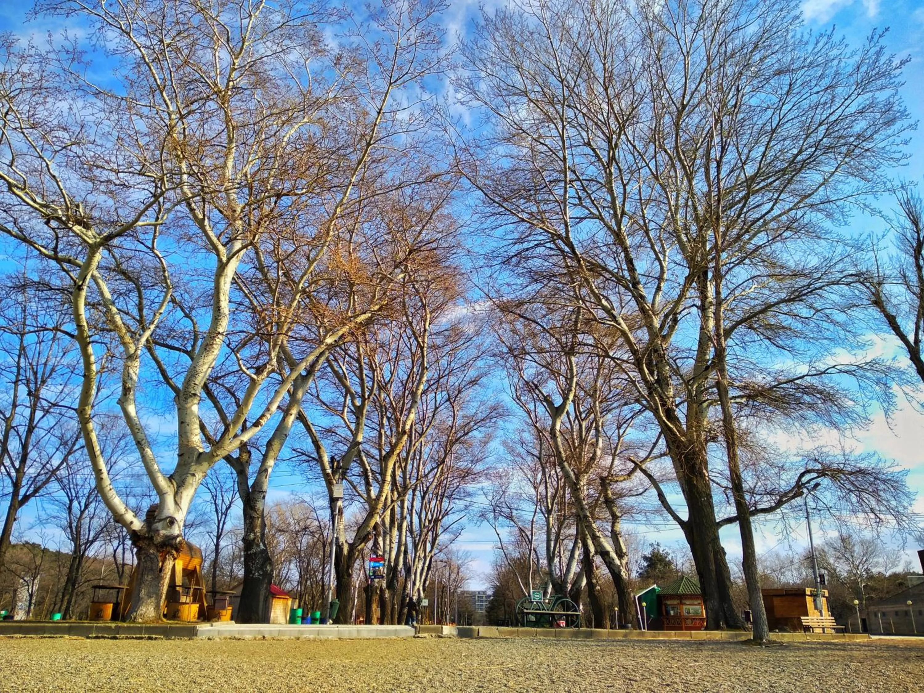 Spring in Lisi Hills Hotel