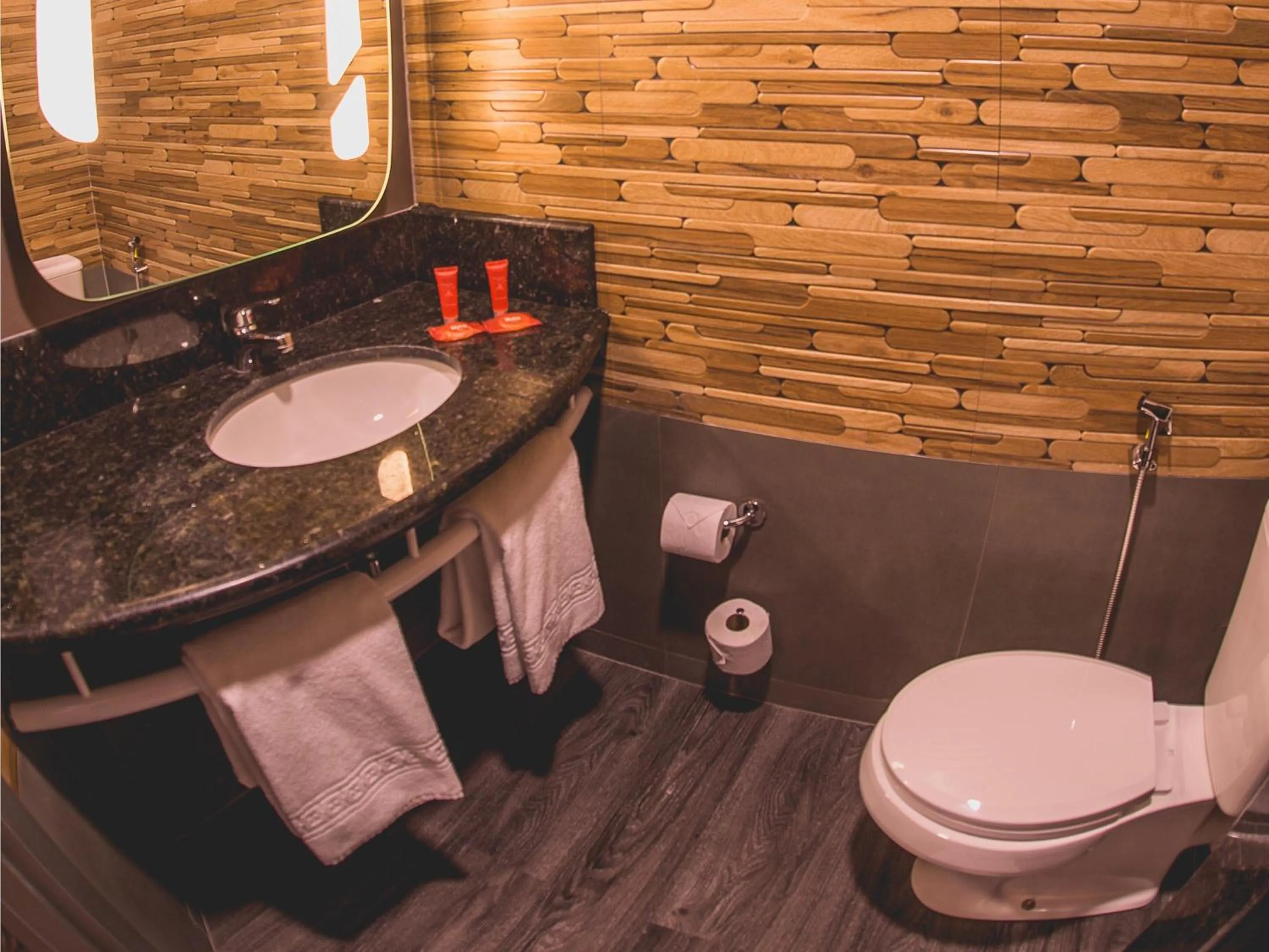 Bedroom in ibis Carlos Barbosa